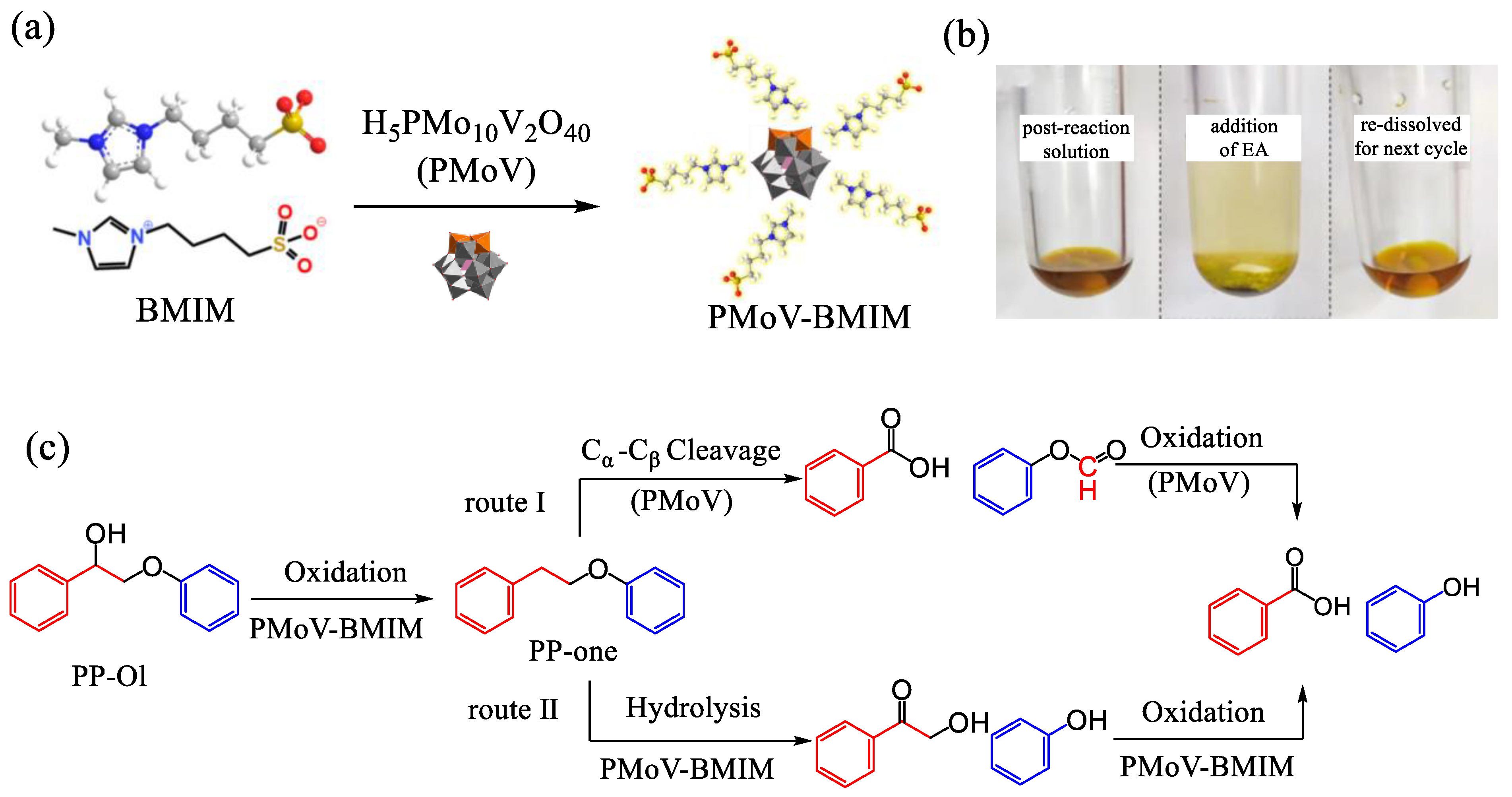 Molecules 29 03216 g006