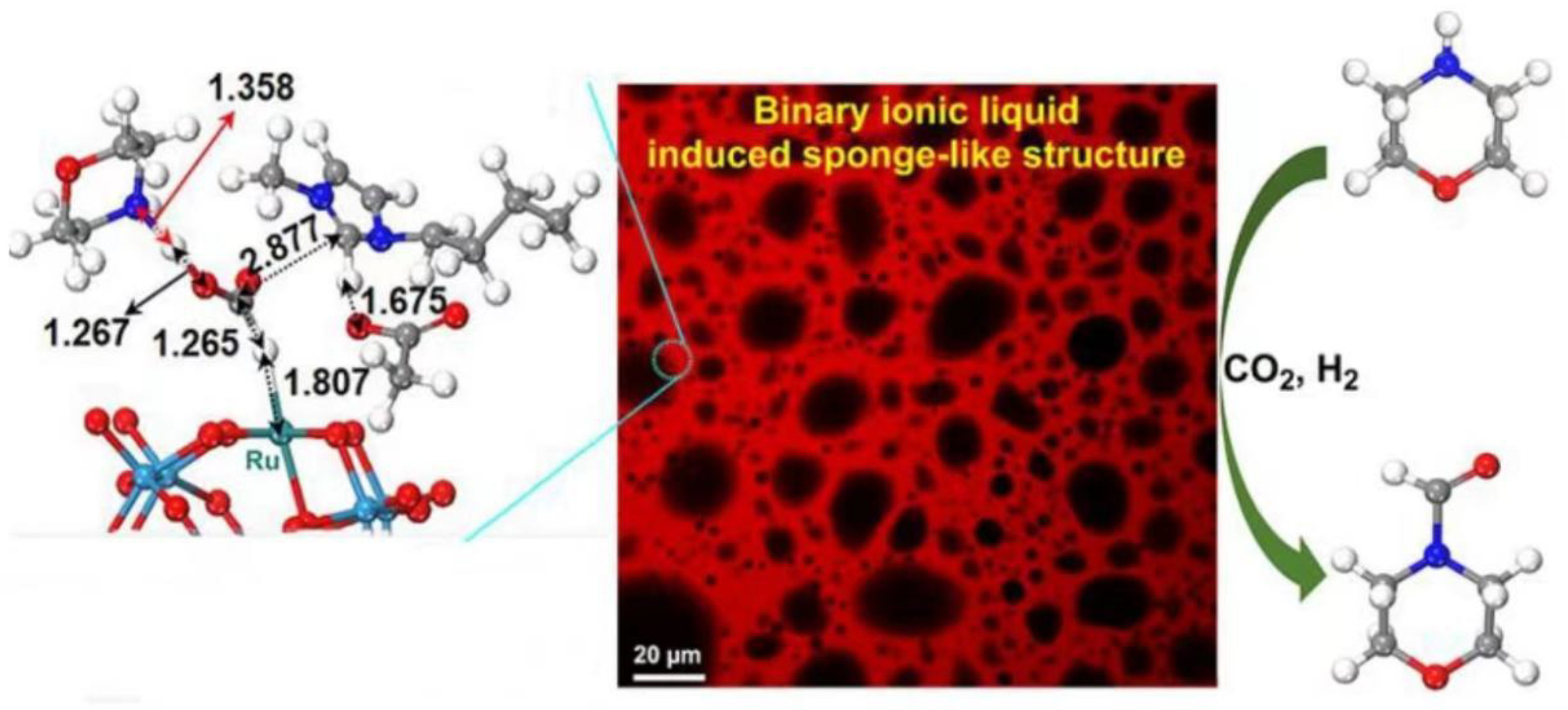 Molecules 29 03216 g007