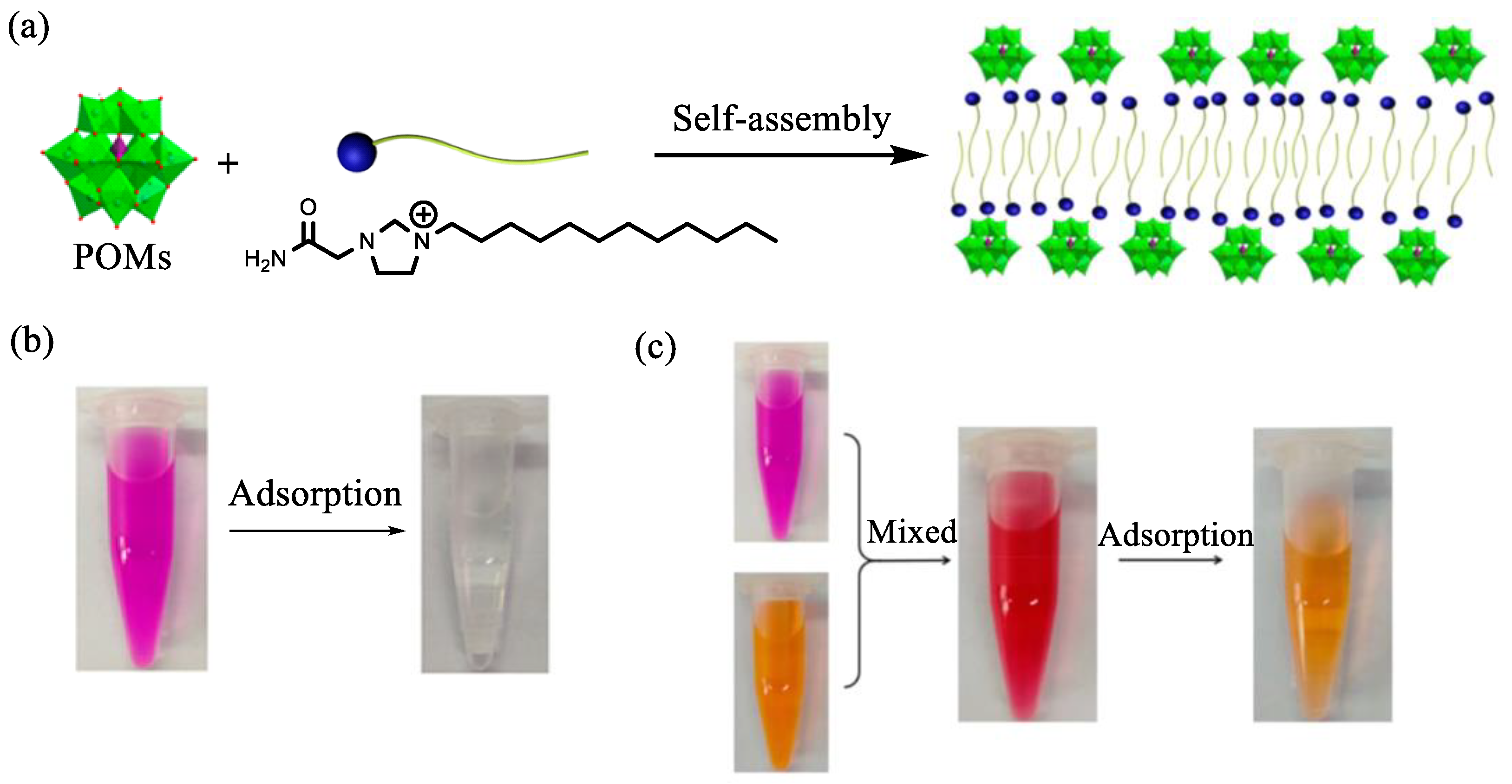 Molecules 29 03216 g010