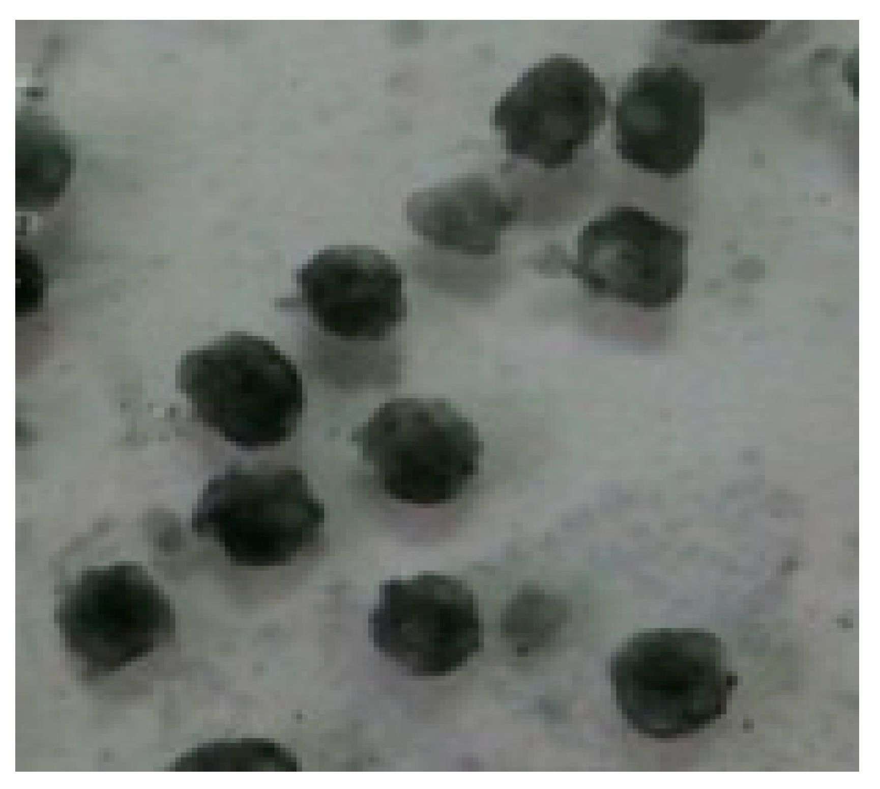 Molecules 29 03217 g008