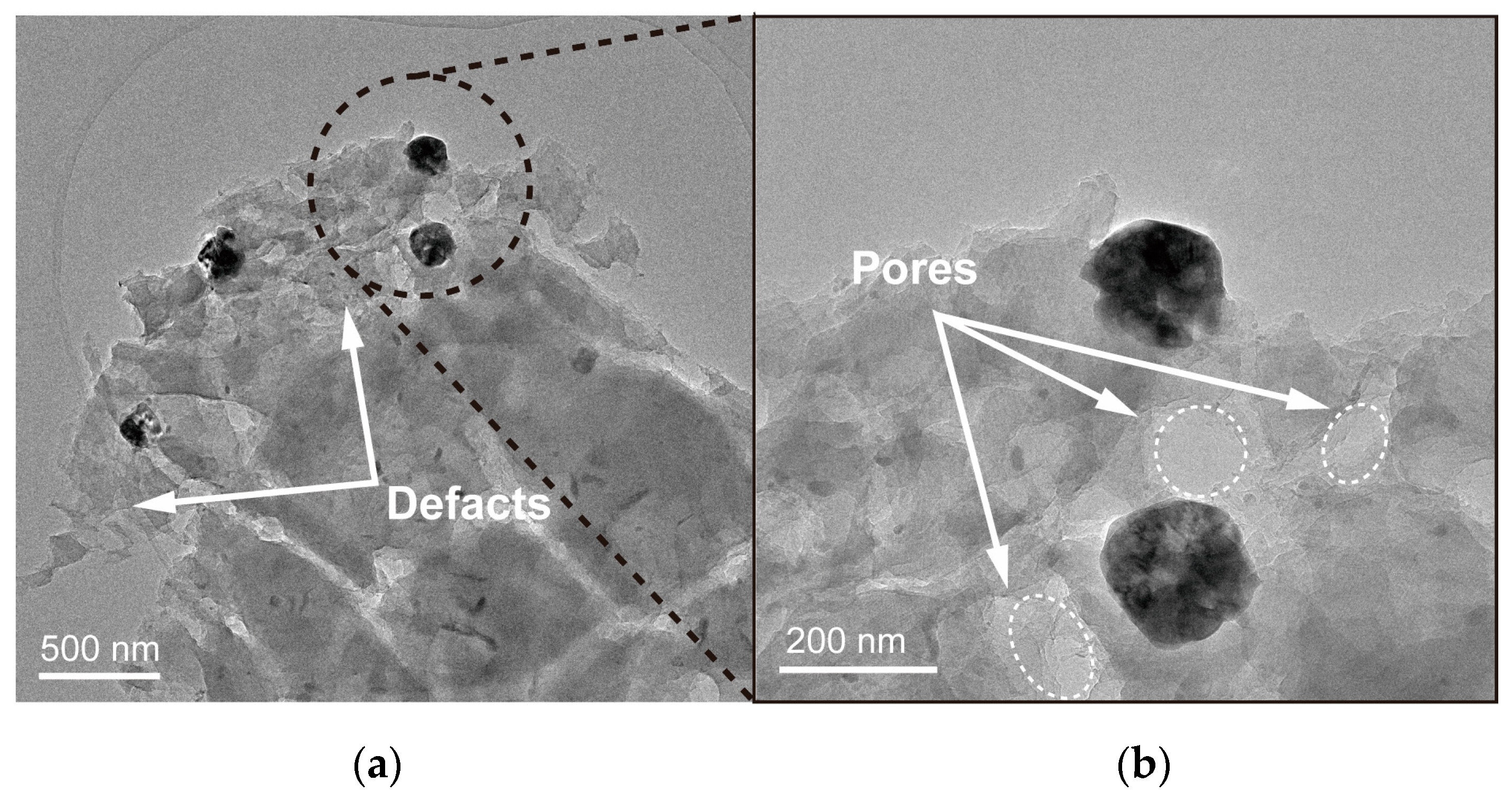 Molecules 29 03219 g002