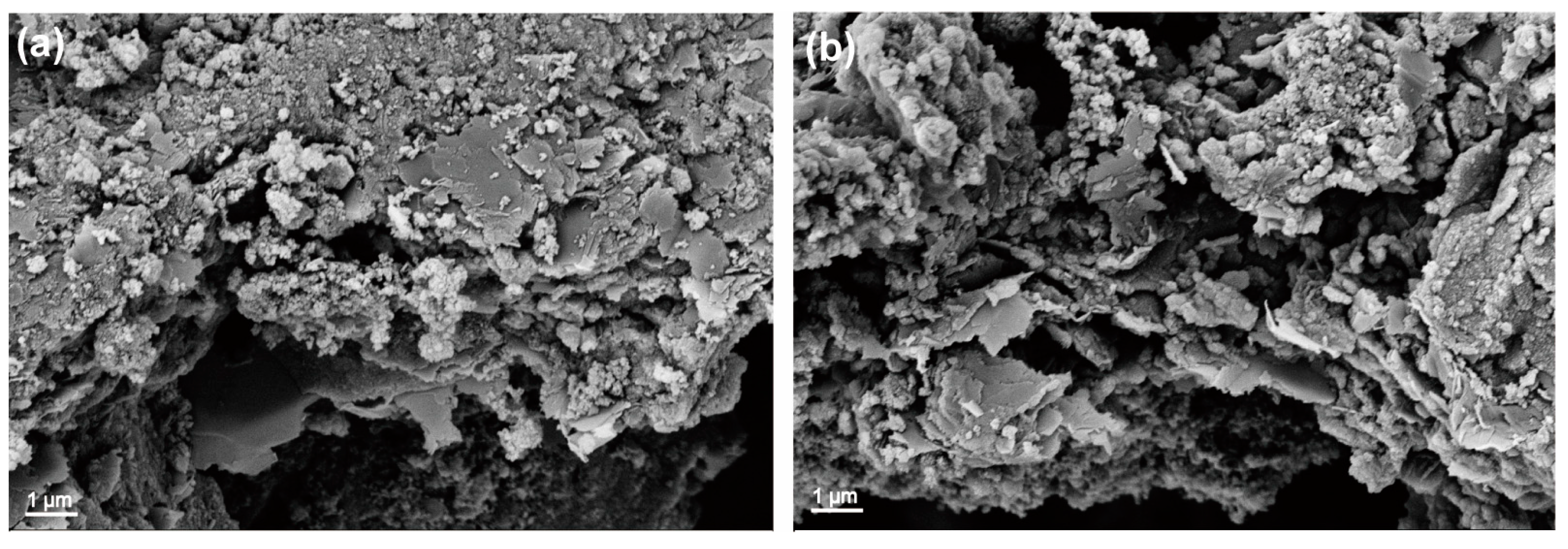 Molecules 29 03219 g007