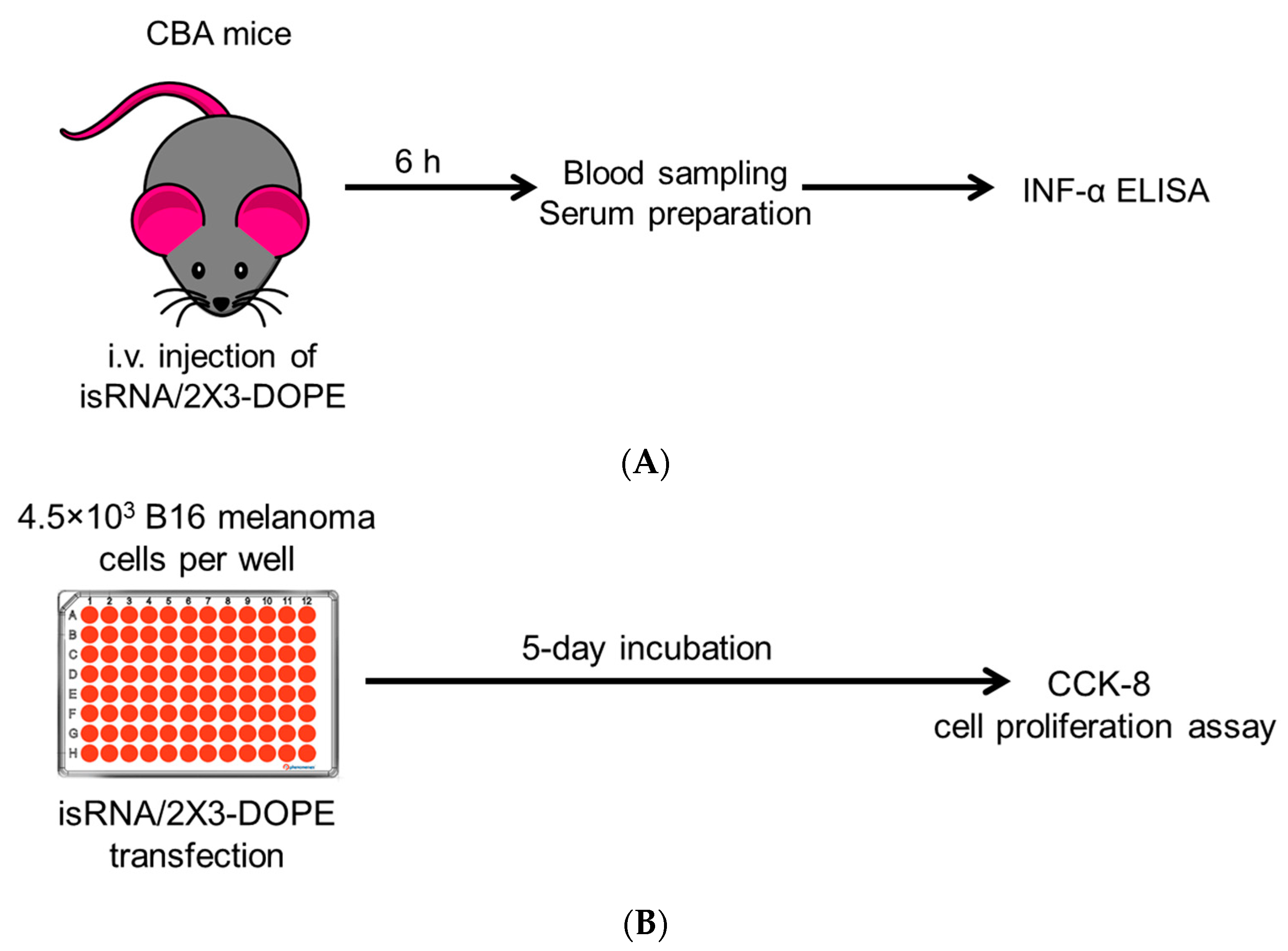 Molecules 29 03225 g001