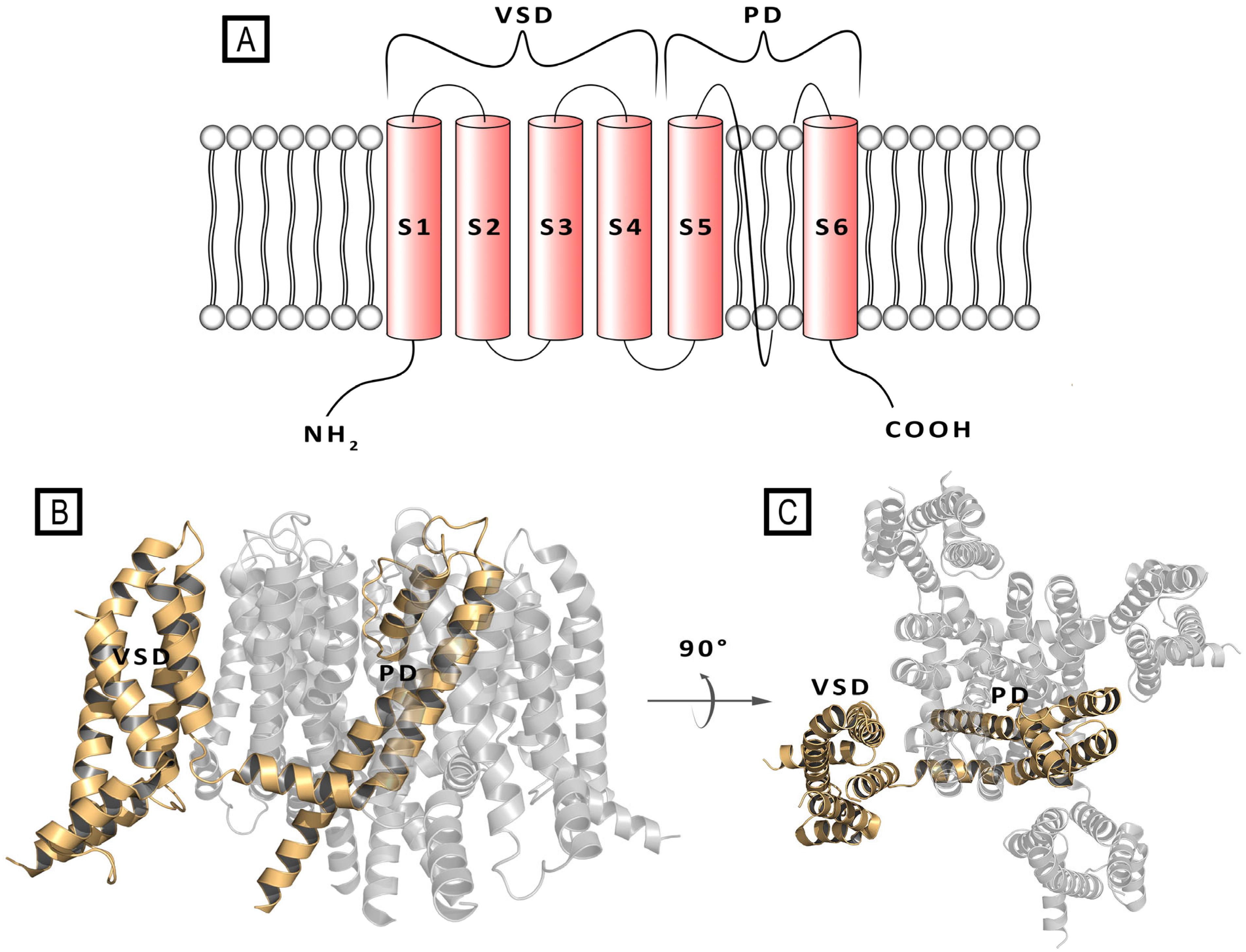 Molecules 29 03234 g001