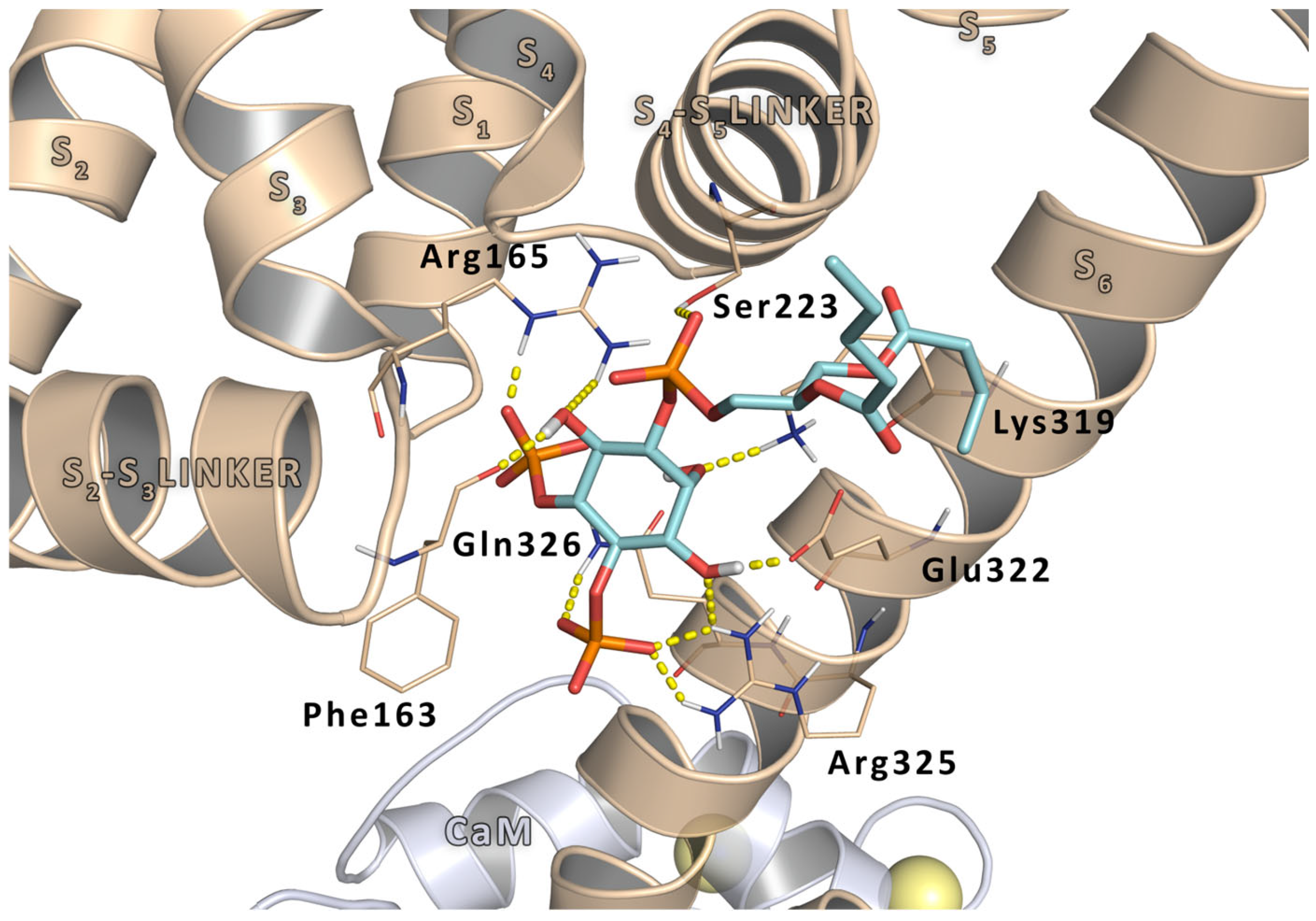 Molecules 29 03234 g002