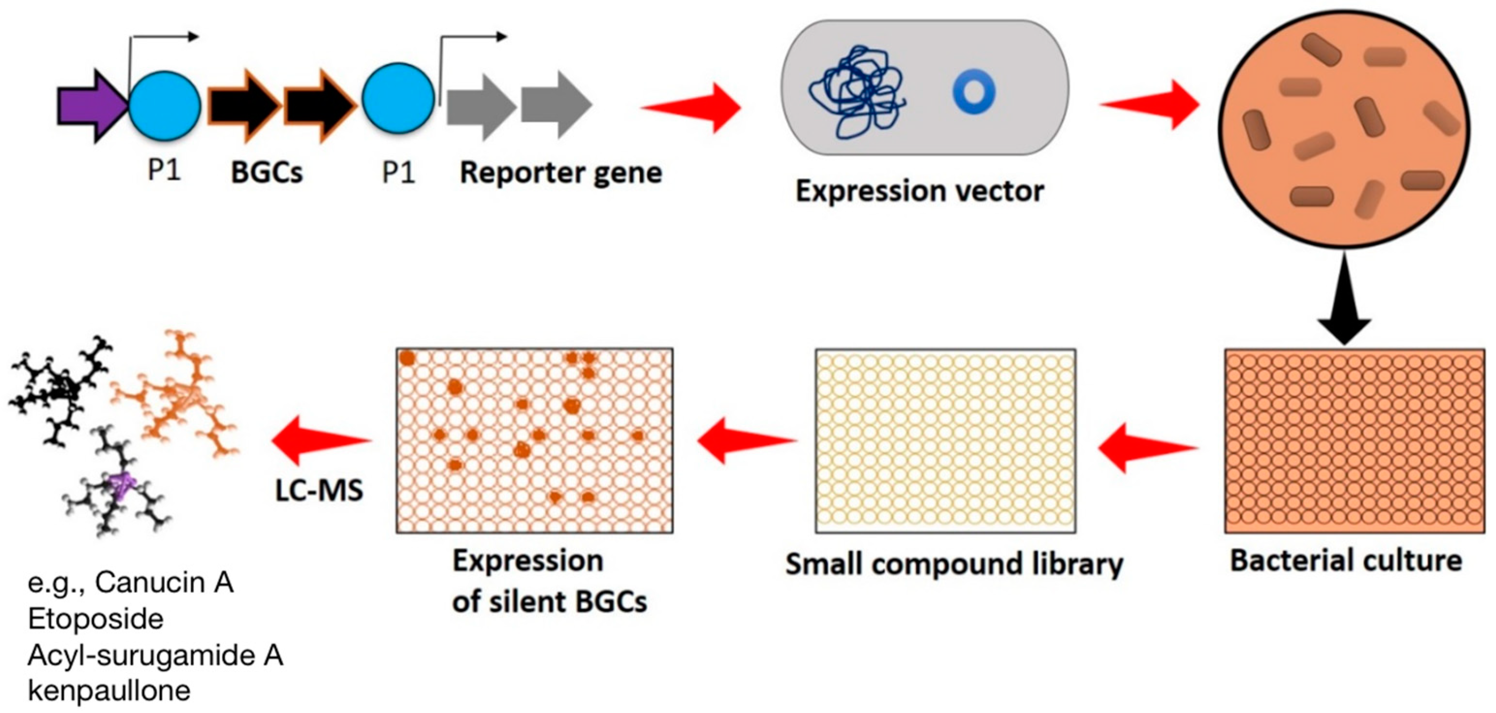 Molecules 29 03237 g003 Molecules 29 03237 g003