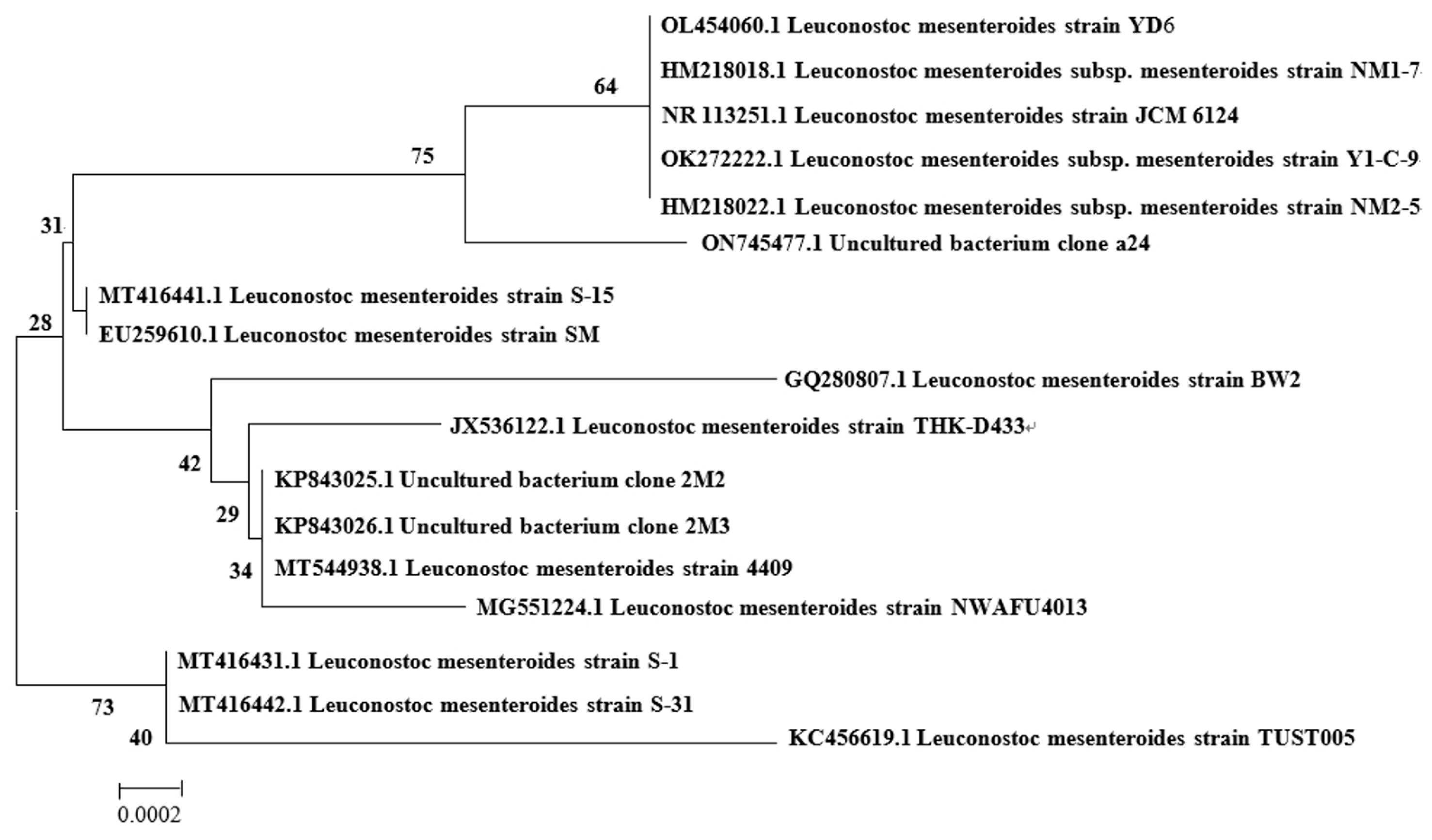 Molecules 29 03242 g002