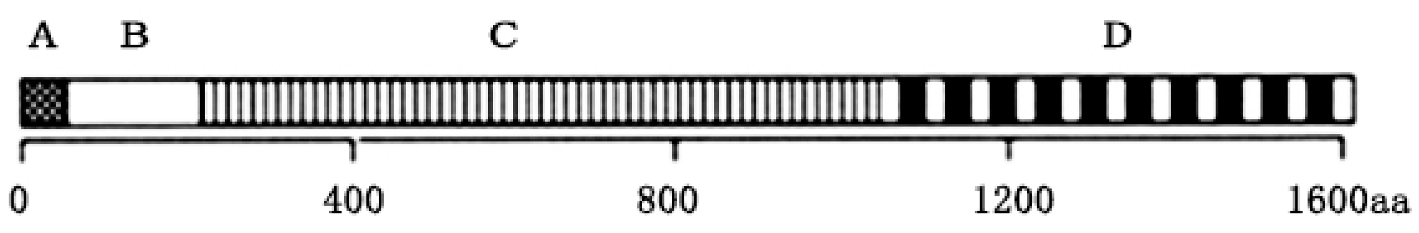 Molecules 29 03242 g004