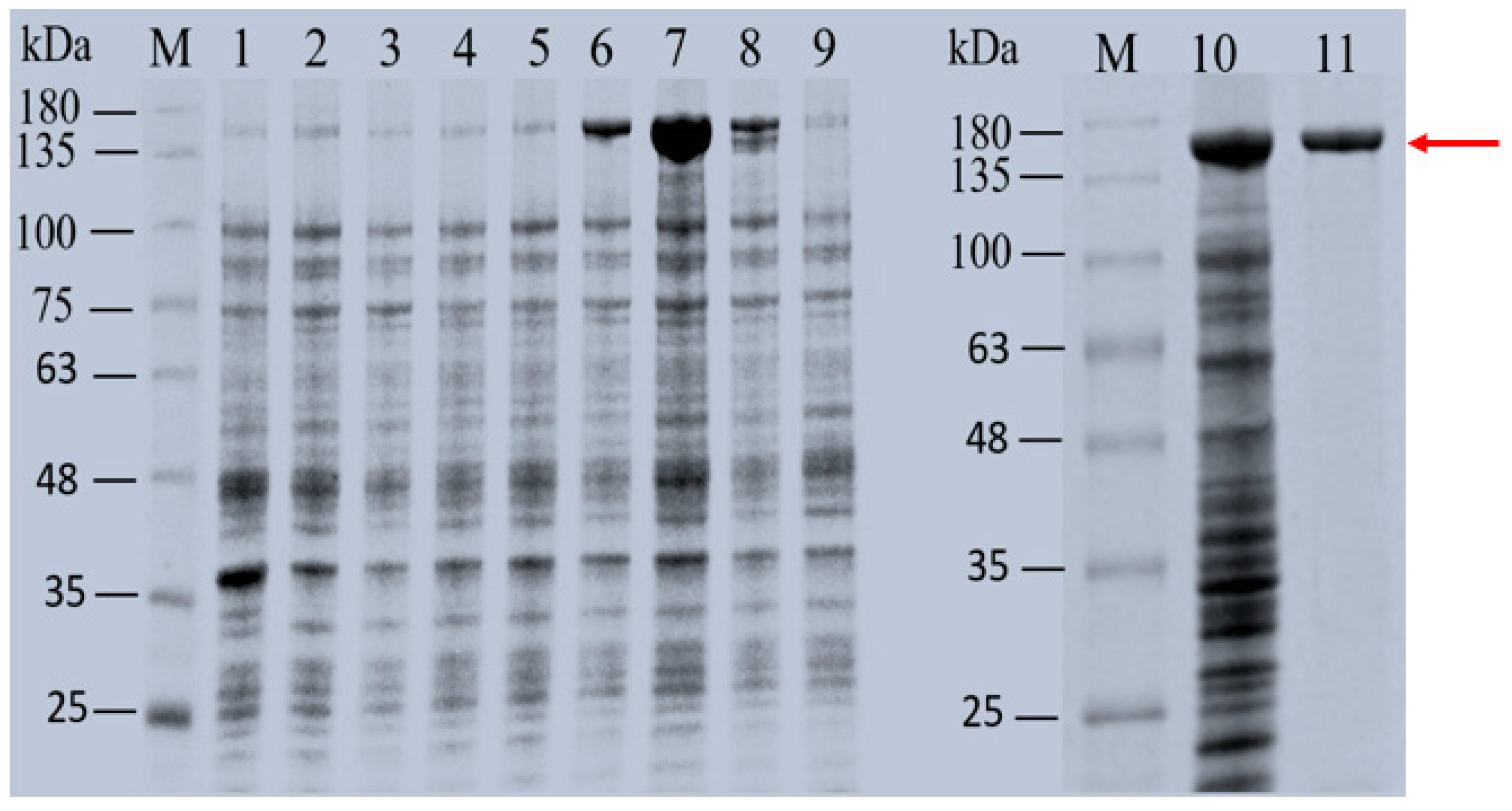 Molecules 29 03242 g006