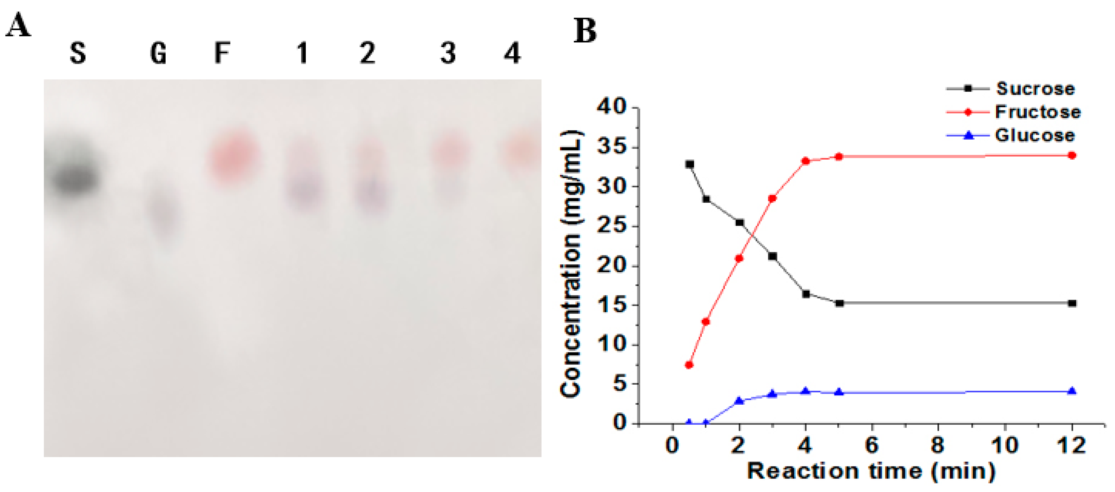 Molecules 29 03242 g010
