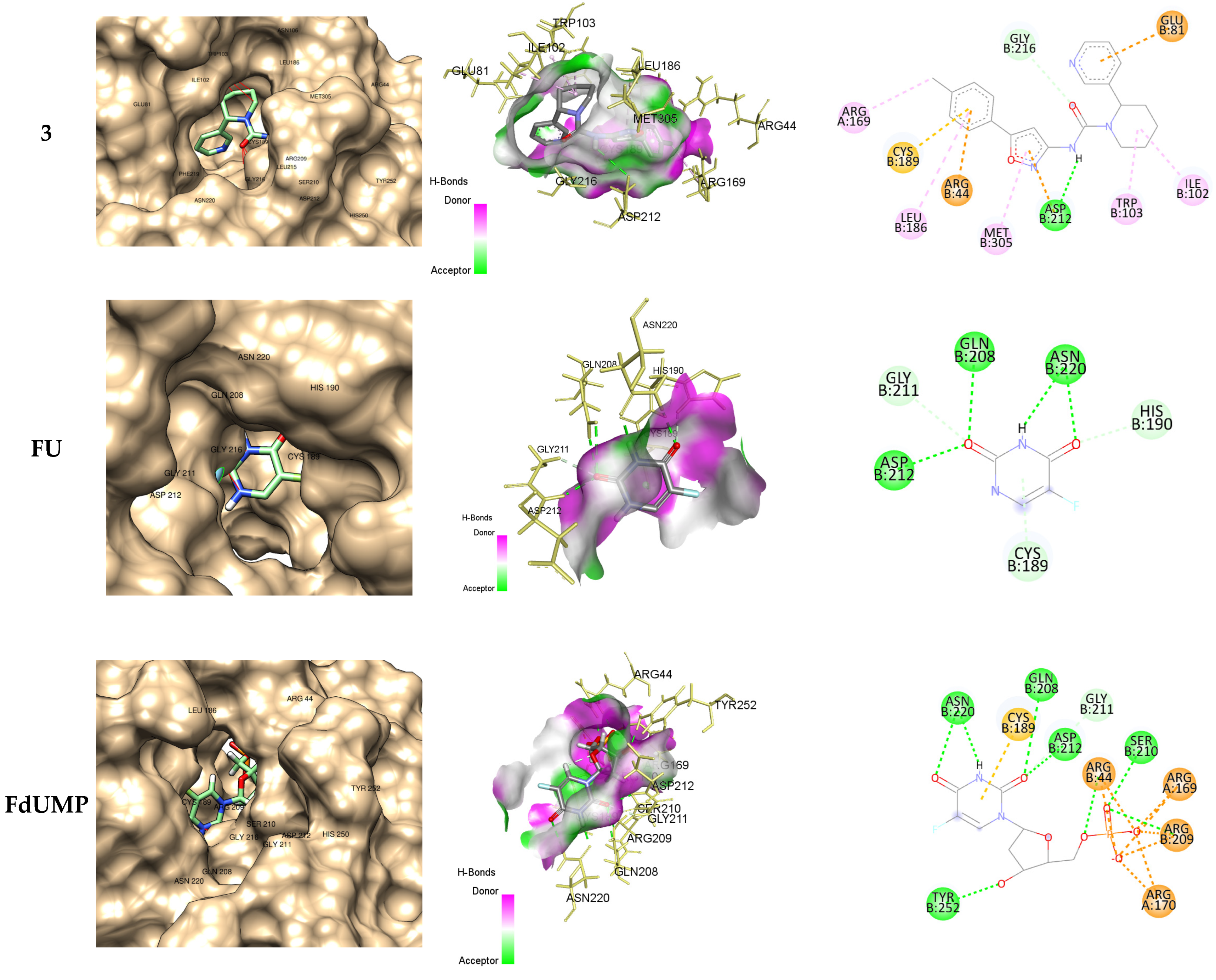 Molecules 29 03246 g006b