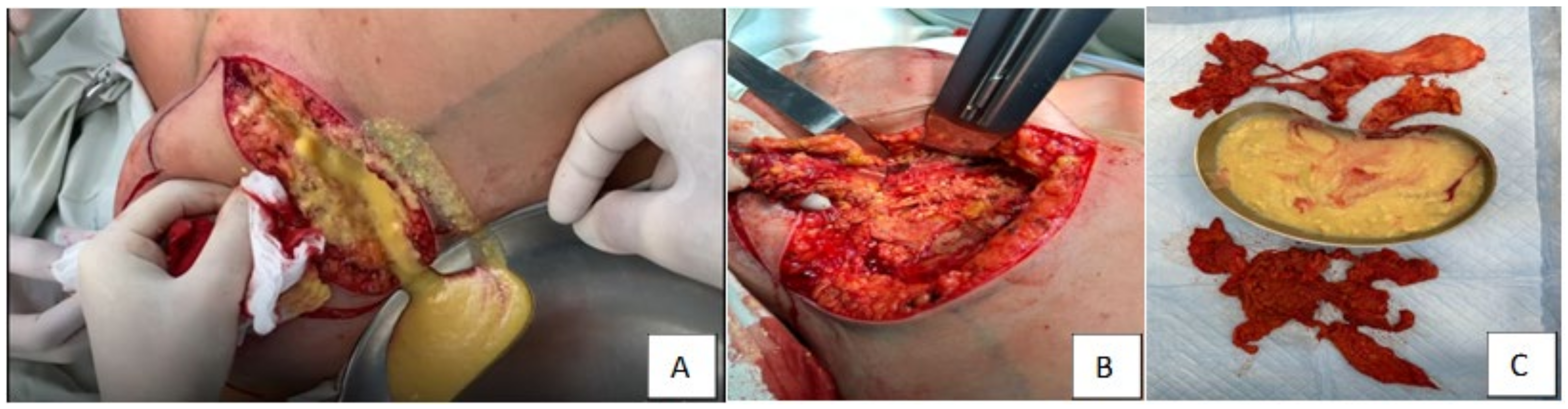 Molecules 29 03247 g002