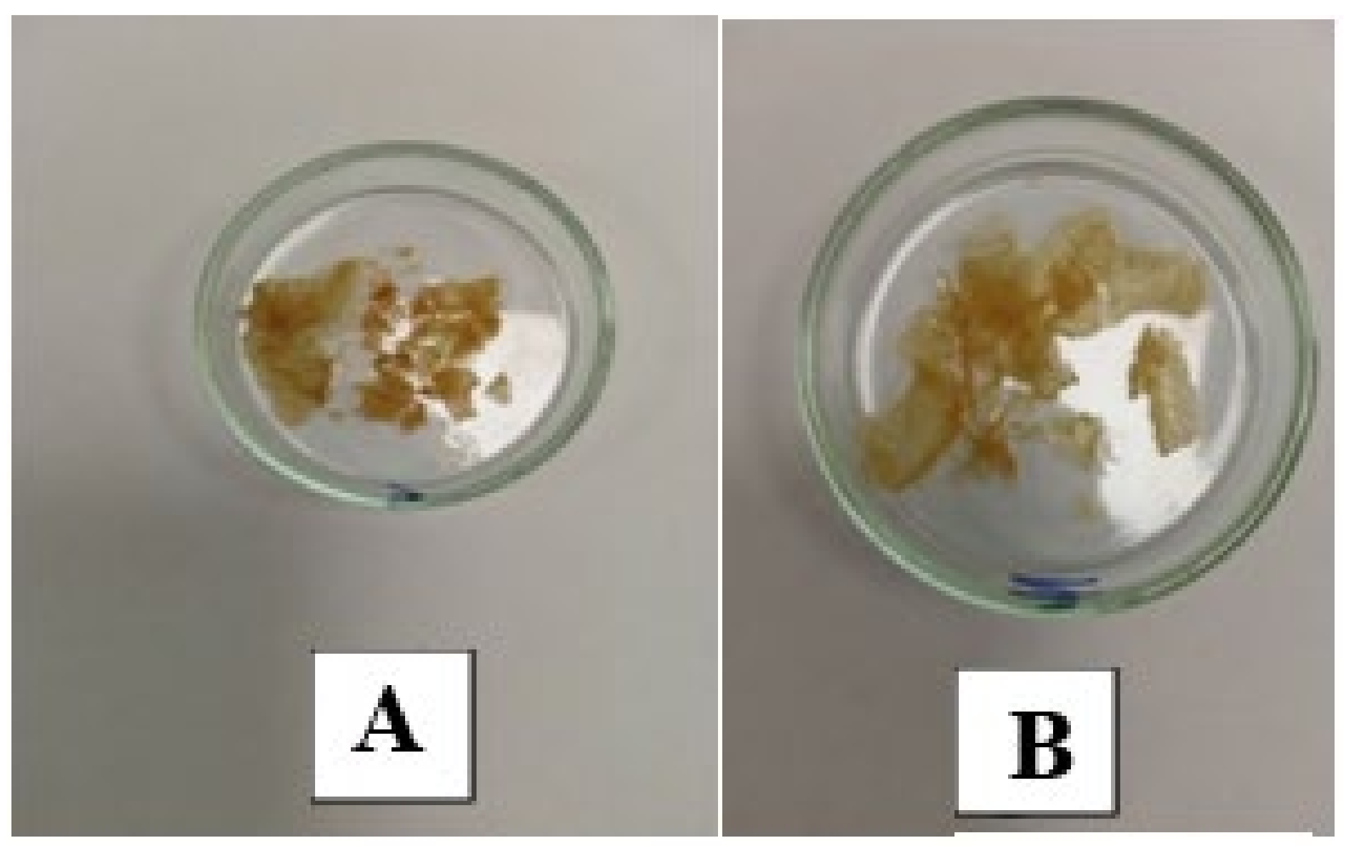 Molecules 29 03247 g003