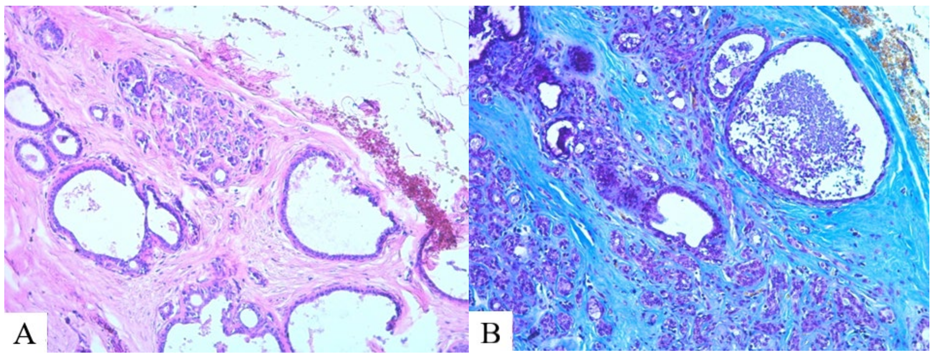 Molecules 29 03247 g005
