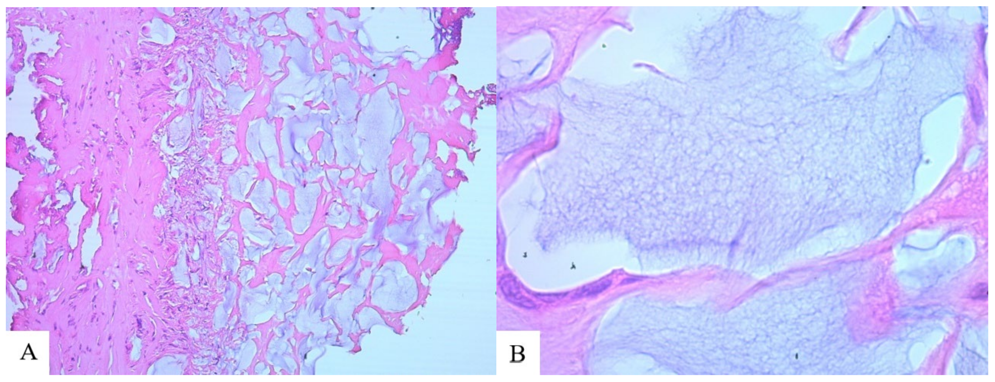 Molecules 29 03247 g006