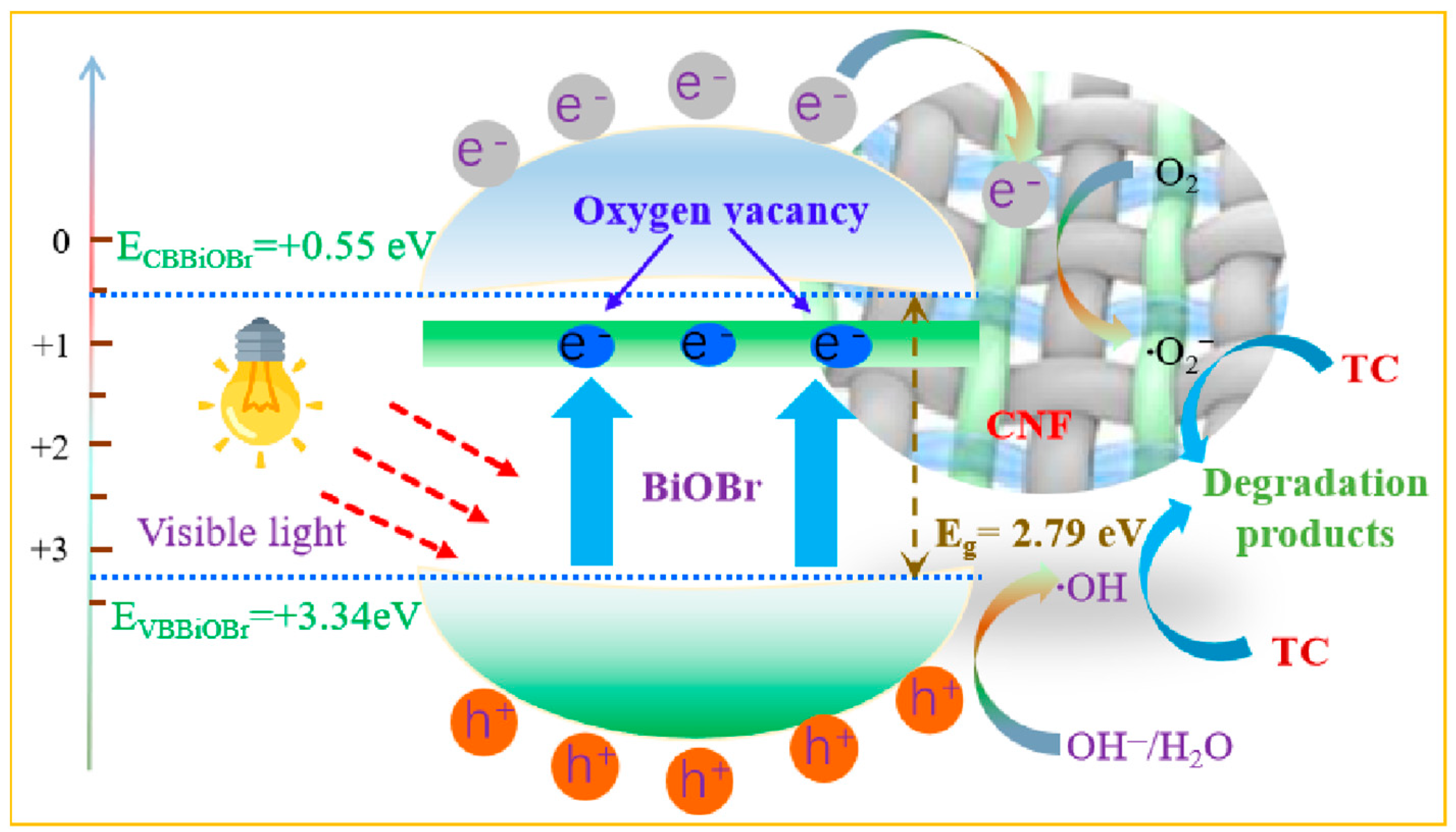 Molecules 29 03253 g009