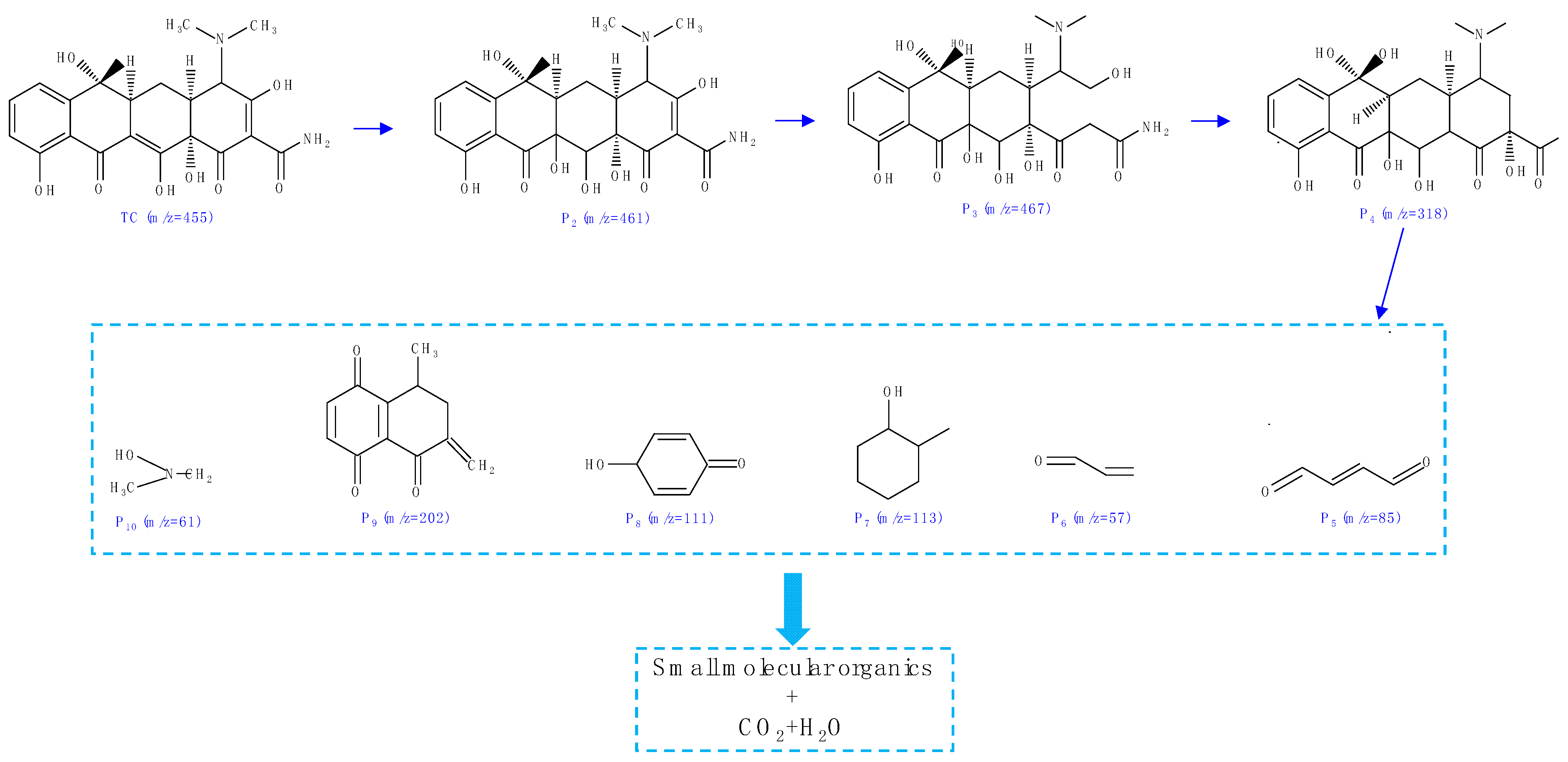 Molecules 29 03253 g010