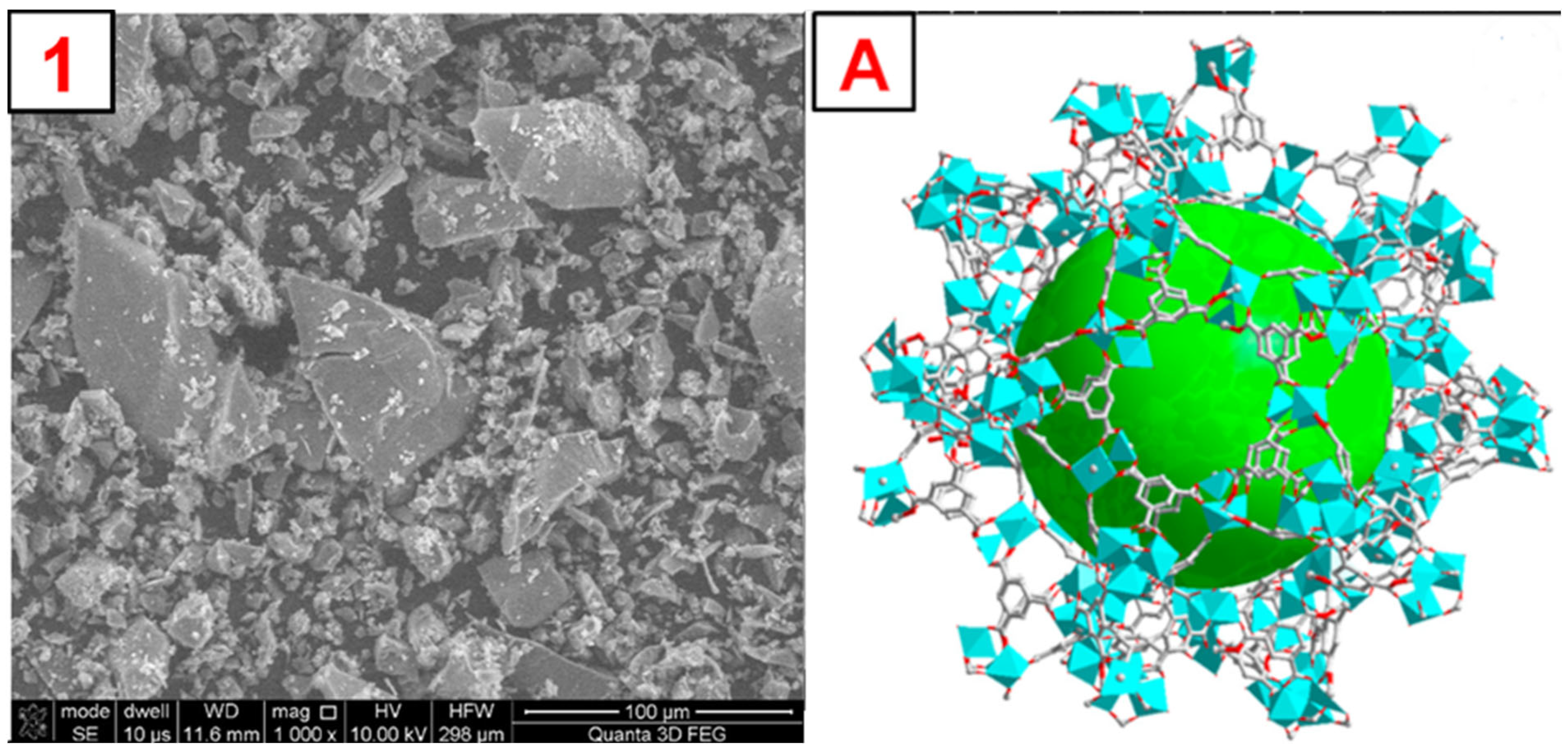Molecules 29 03259 g004