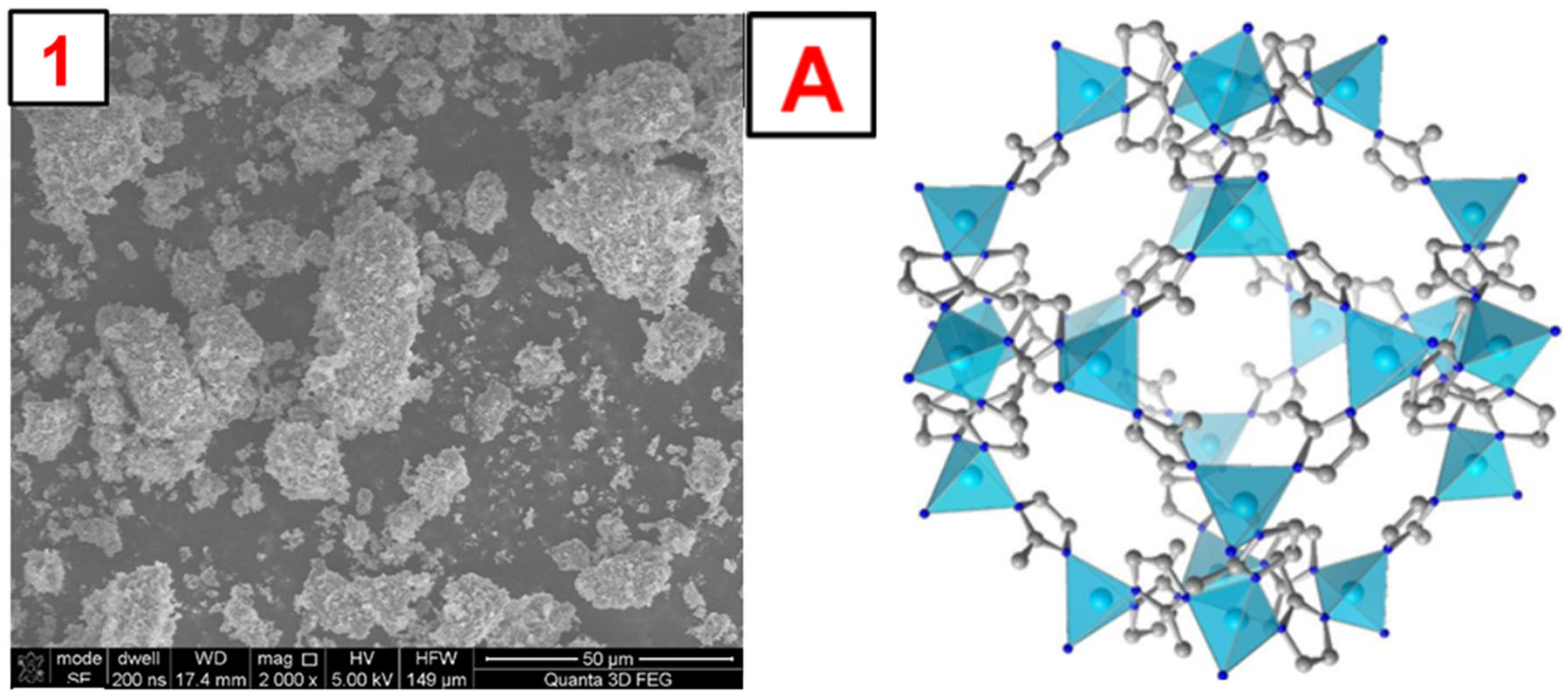 Molecules 29 03259 g005