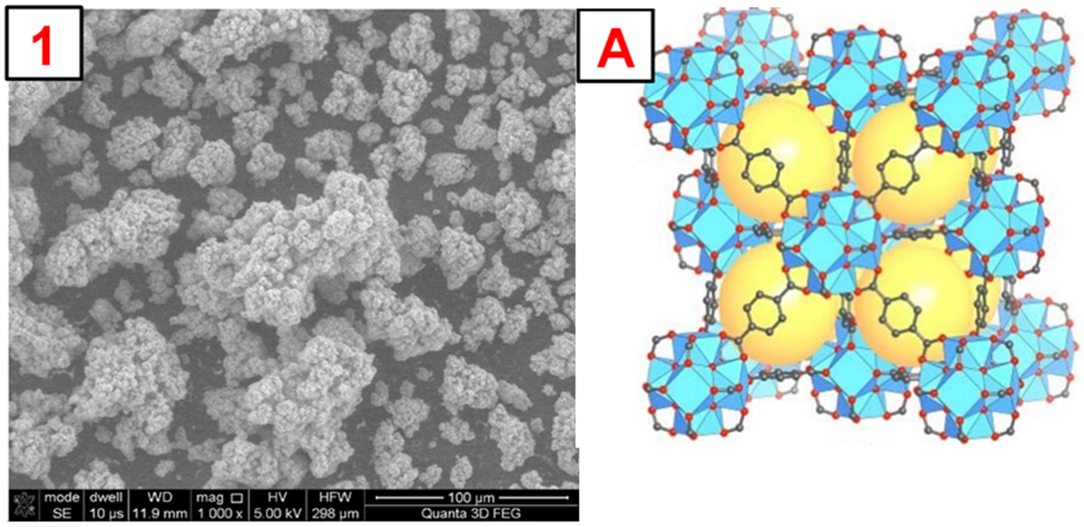 Molecules 29 03259 g006