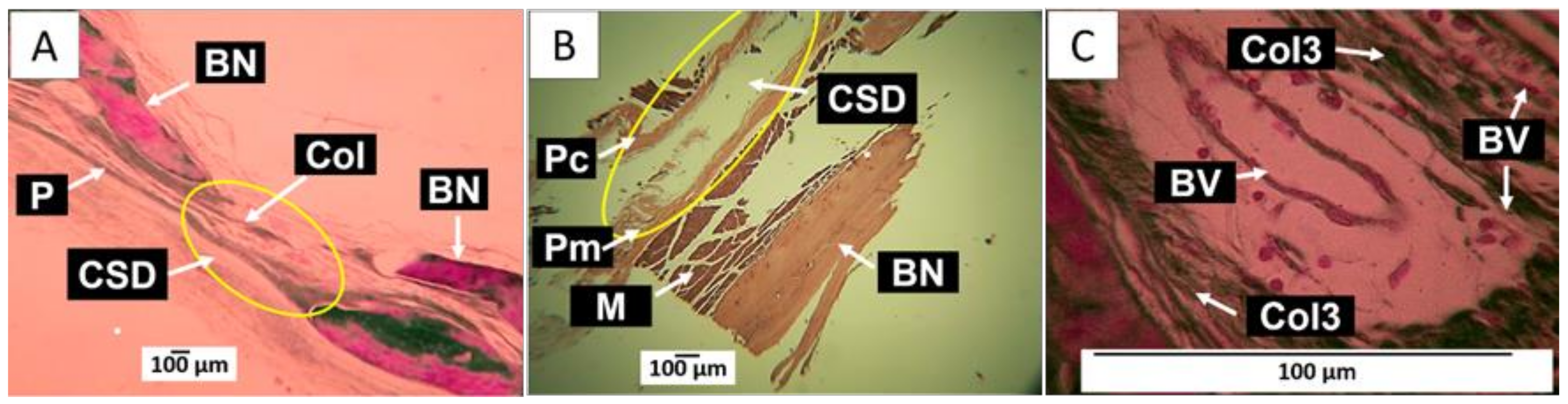 Molecules 29 03263 g008 Molecules 29 03263 g008