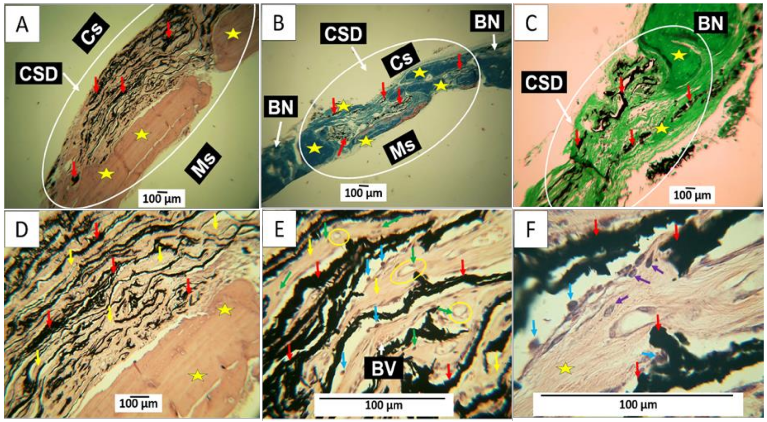 Molecules 29 03263 g009 Molecules 29 03263 g009