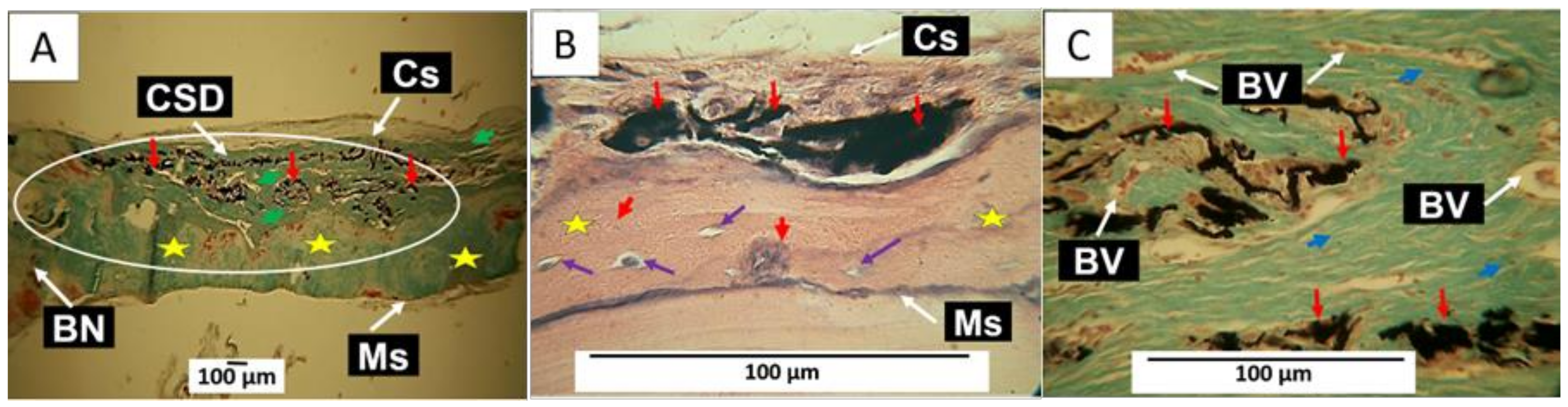 Molecules 29 03263 g010 Molecules 29 03263 g010