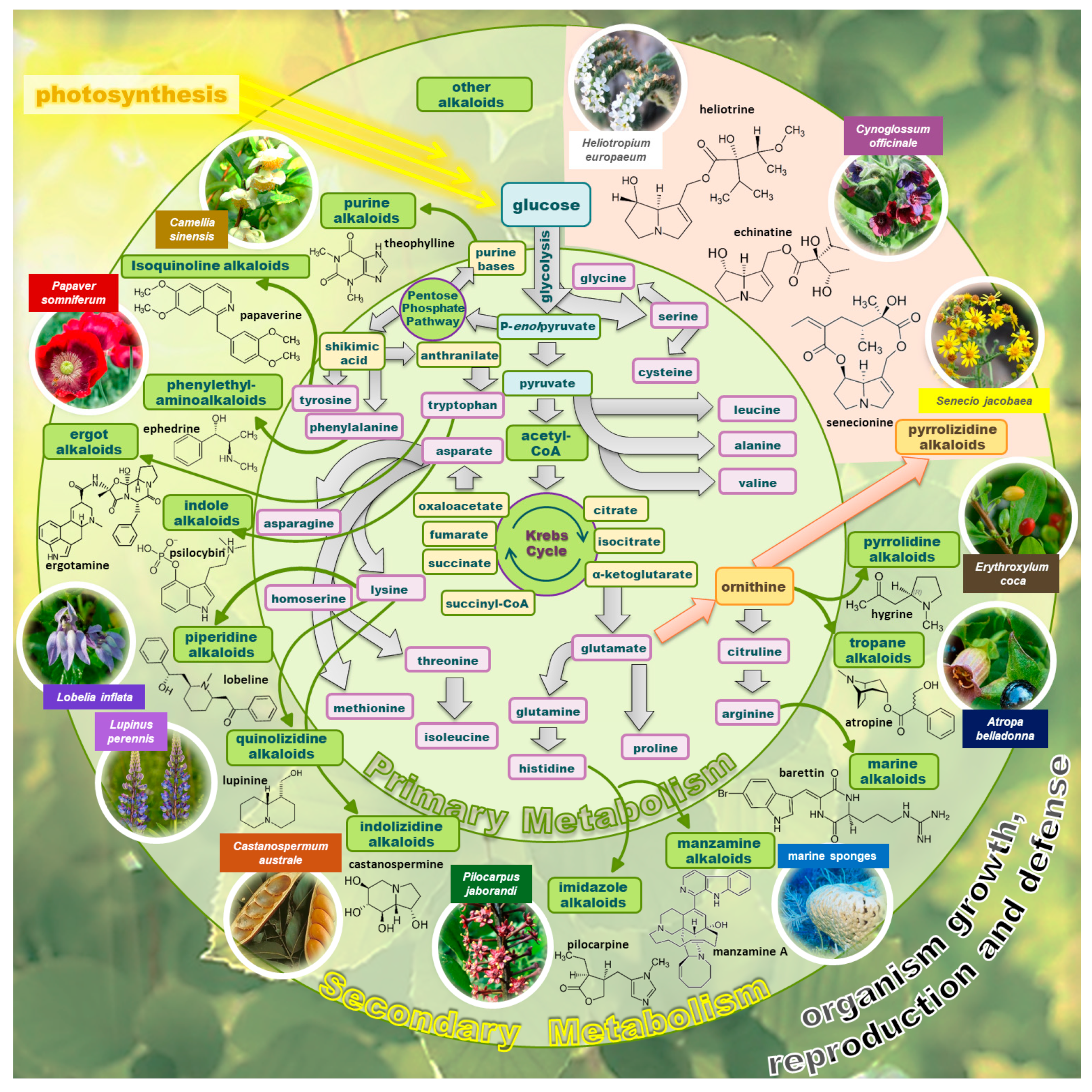 Molecules 29 03269 g001