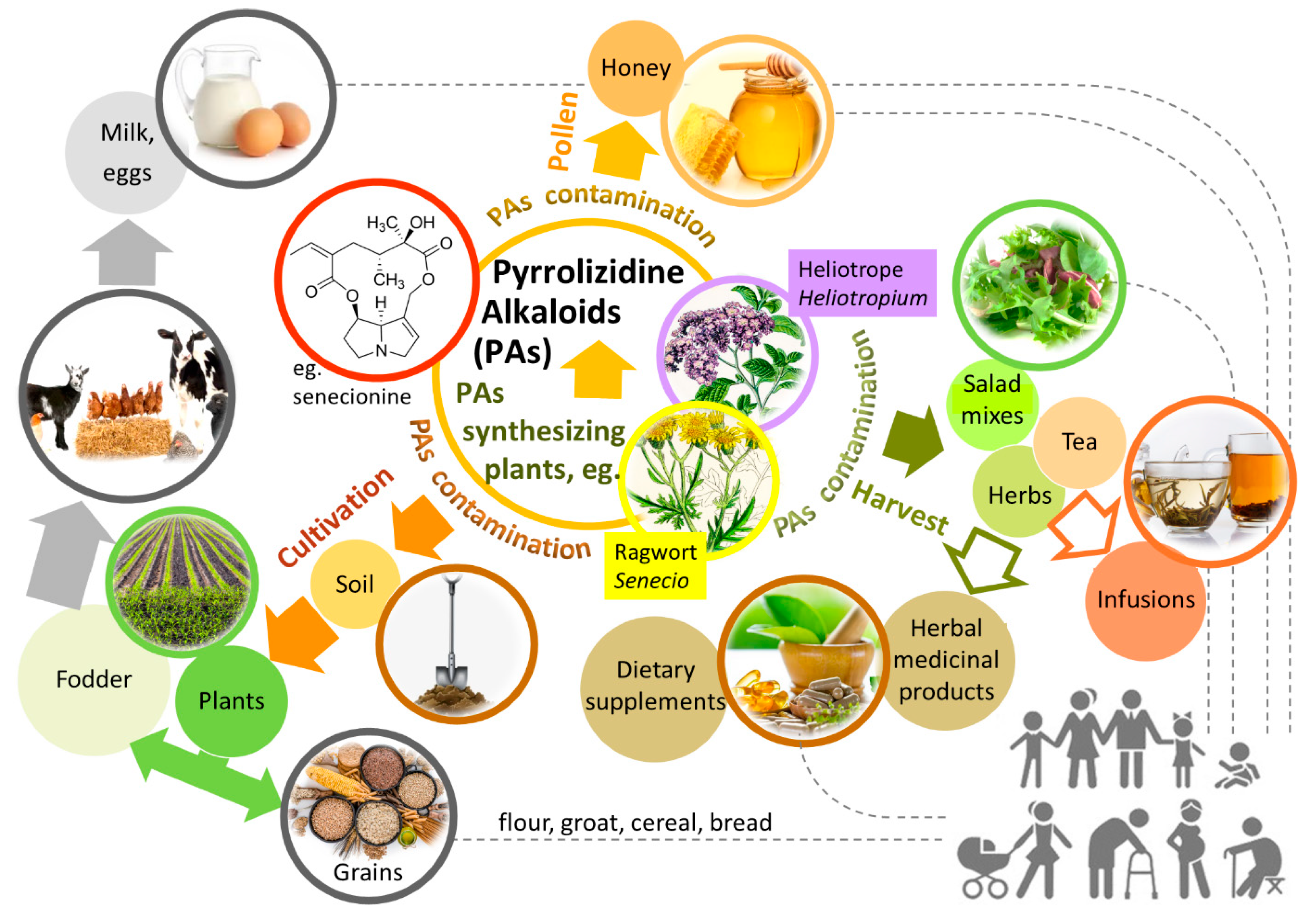 Molecules 29 03269 g002