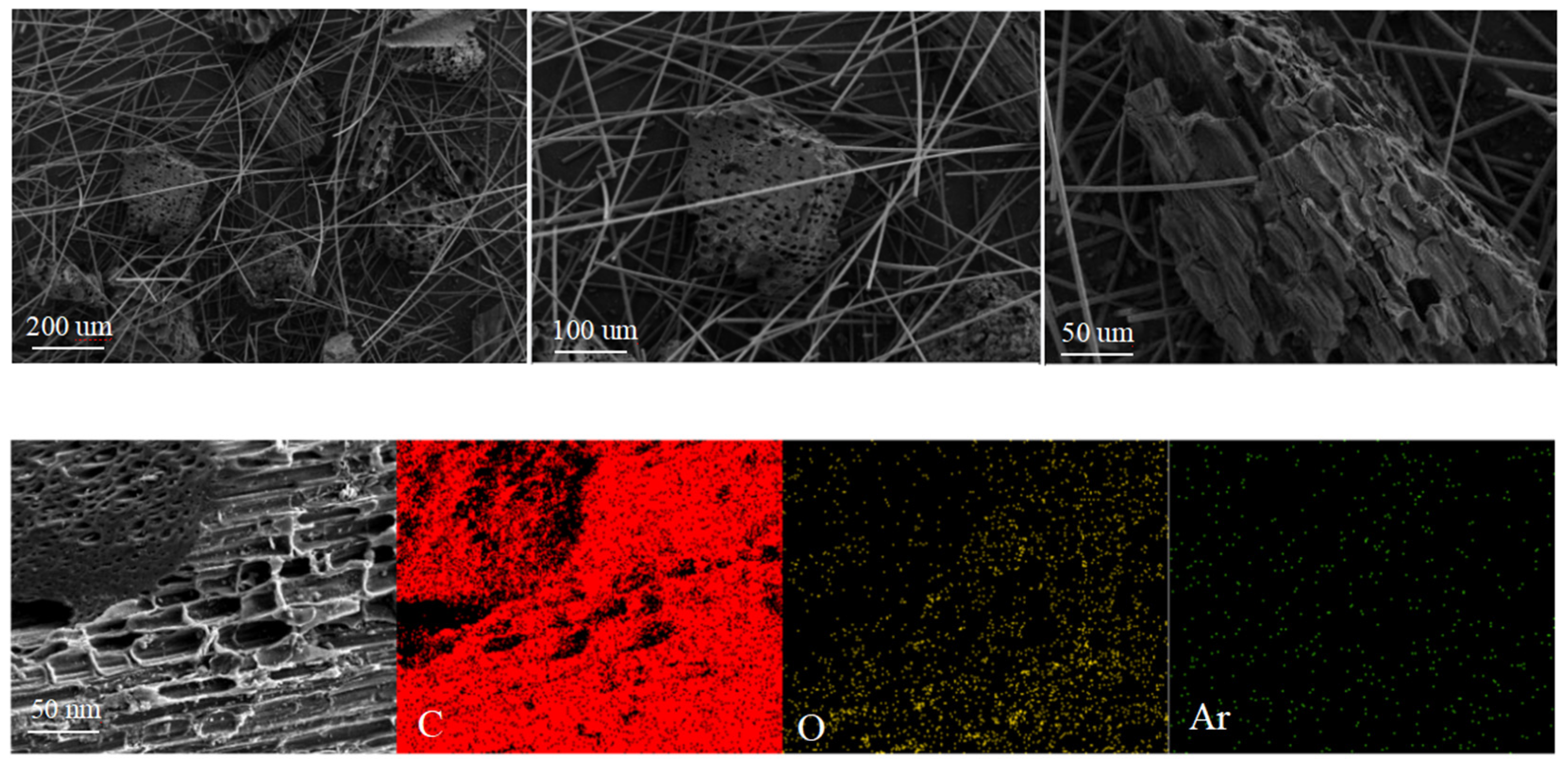 Molecules 29 03273 g001