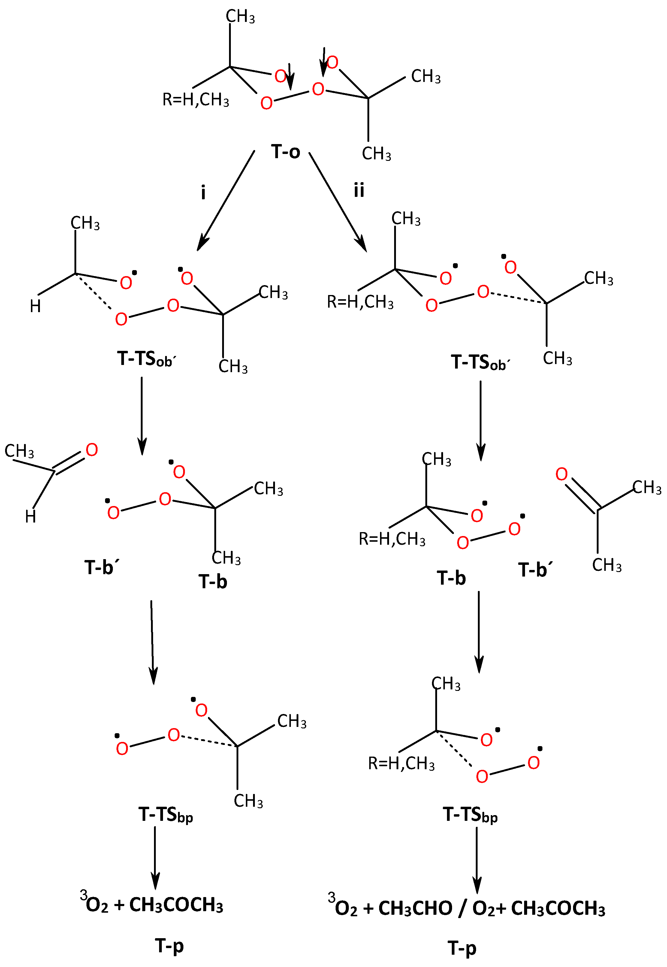 Molecules 29 03274 sch002
