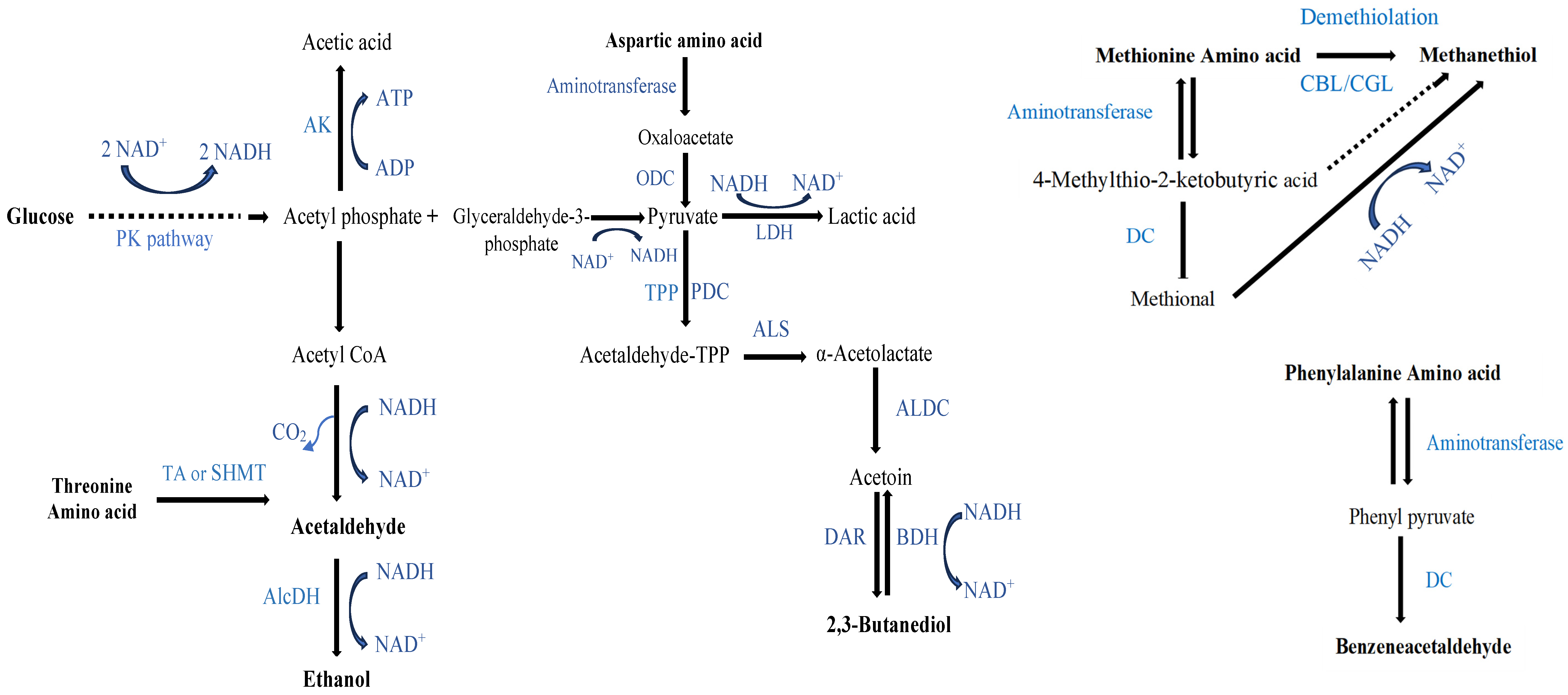 Molecules 29 03275 g003