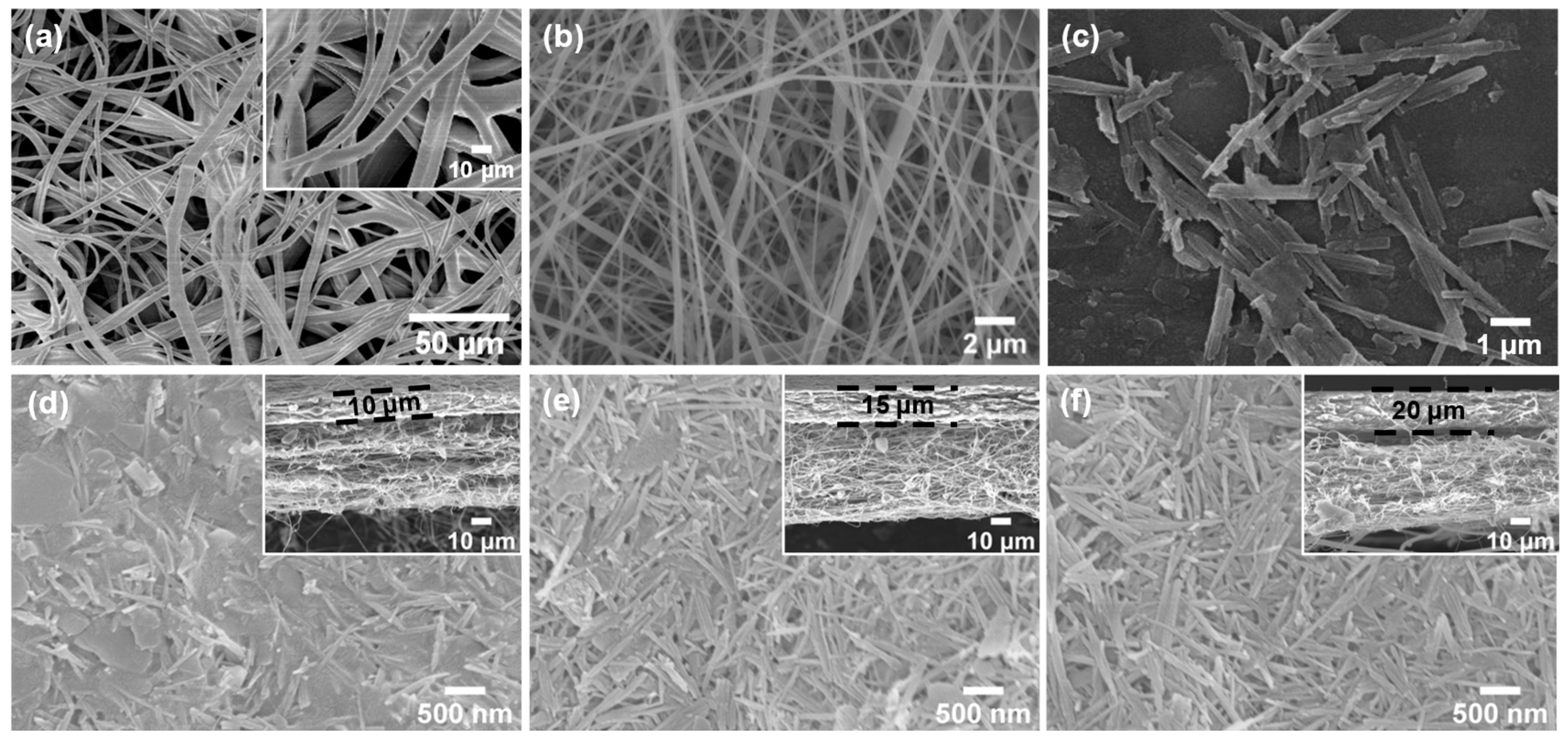 Molecules 29 03277 g001