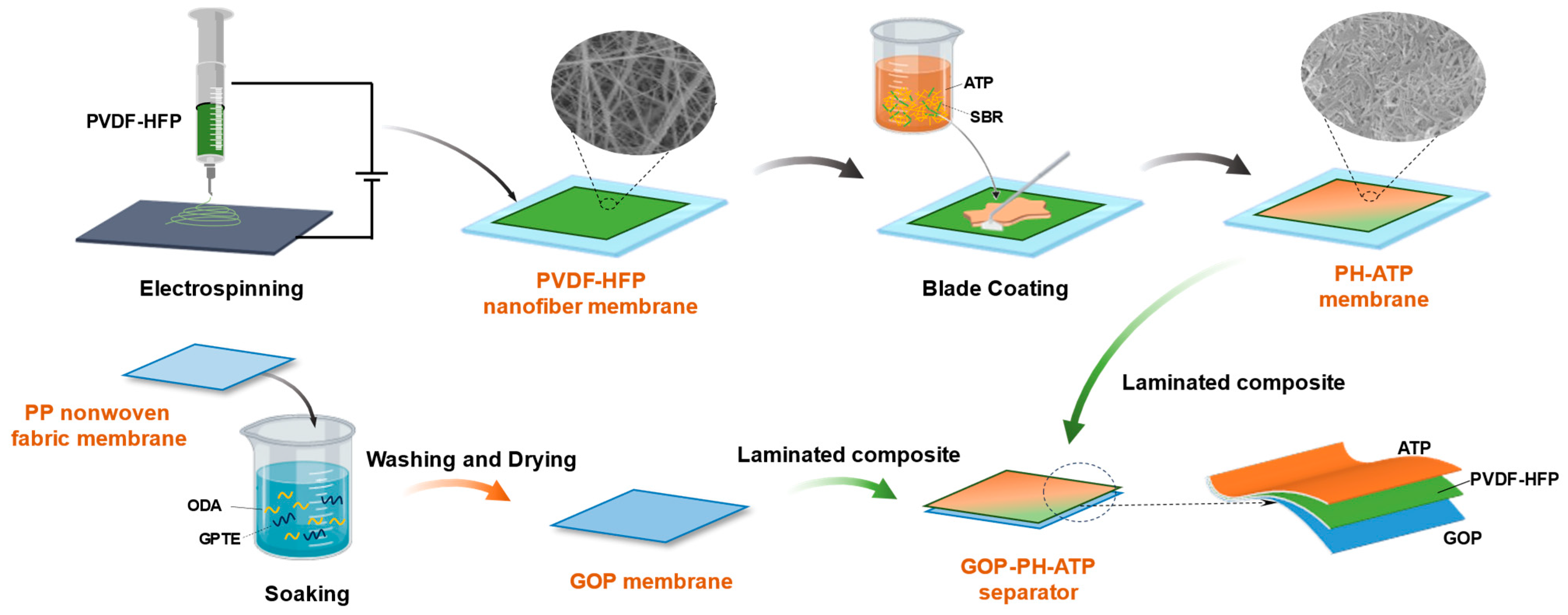 Molecules 29 03277 g007