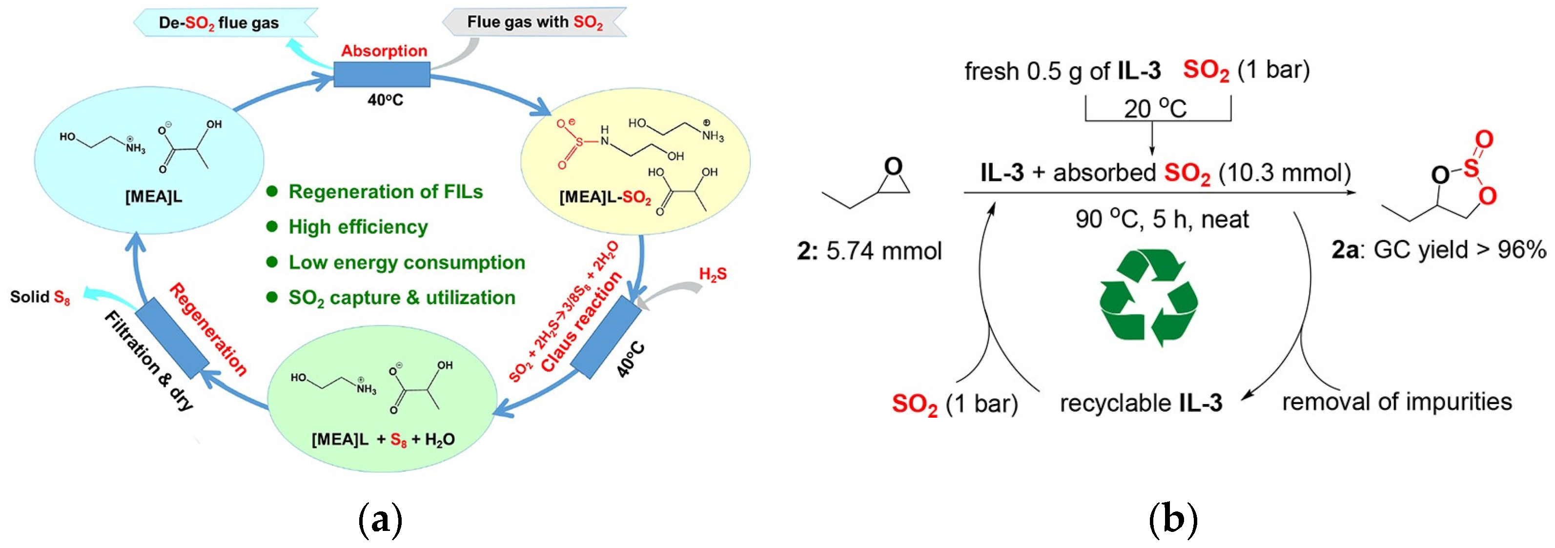 Molecules 29 03279 g005
