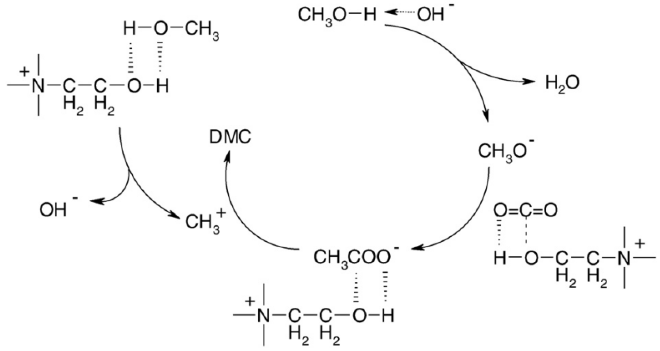 Molecules 29 03279 g006