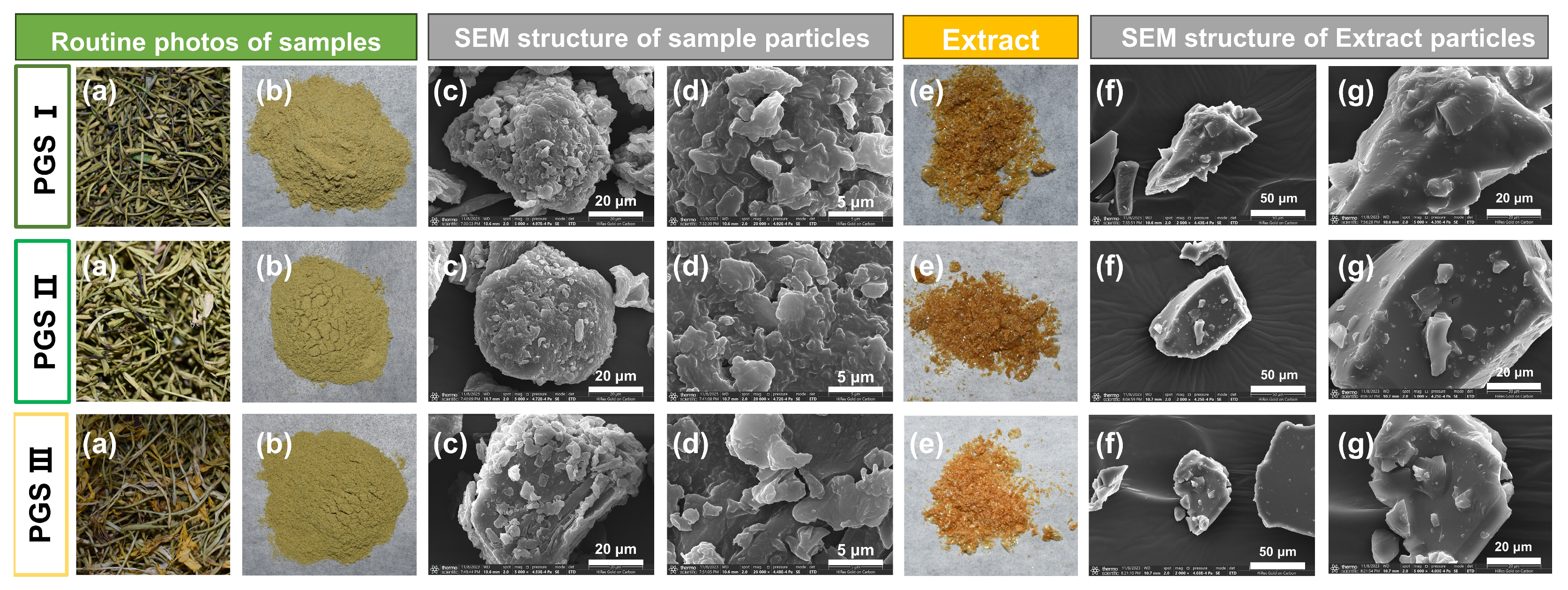 Molecules 29 03280 g006 Molecules 29 03280 g006
