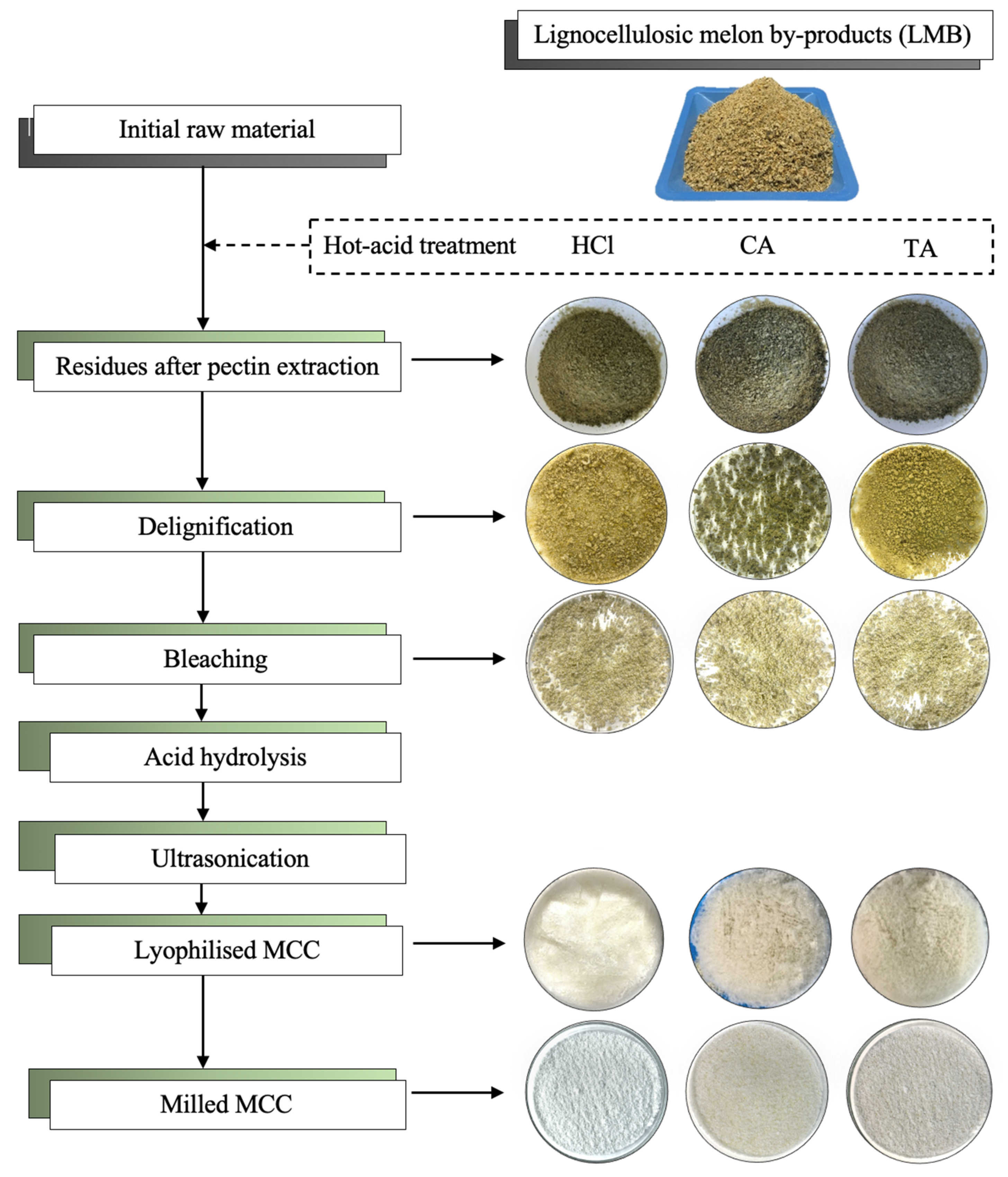 Molecules 29 03285 g001