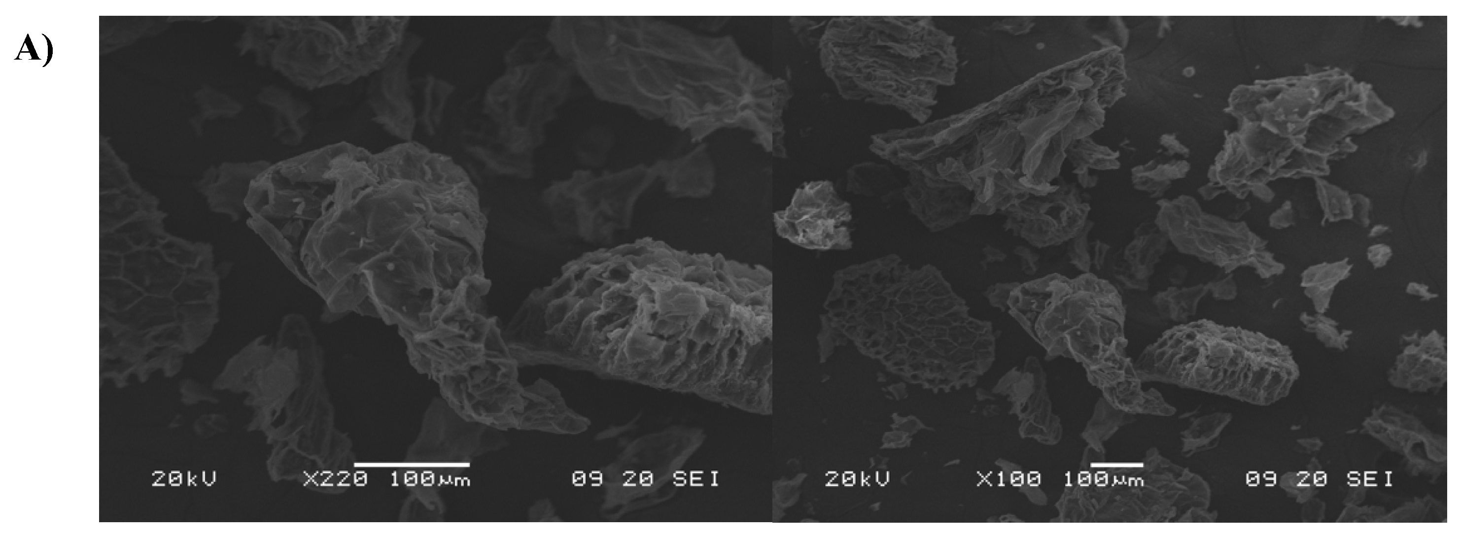 Molecules 29 03285 g005a