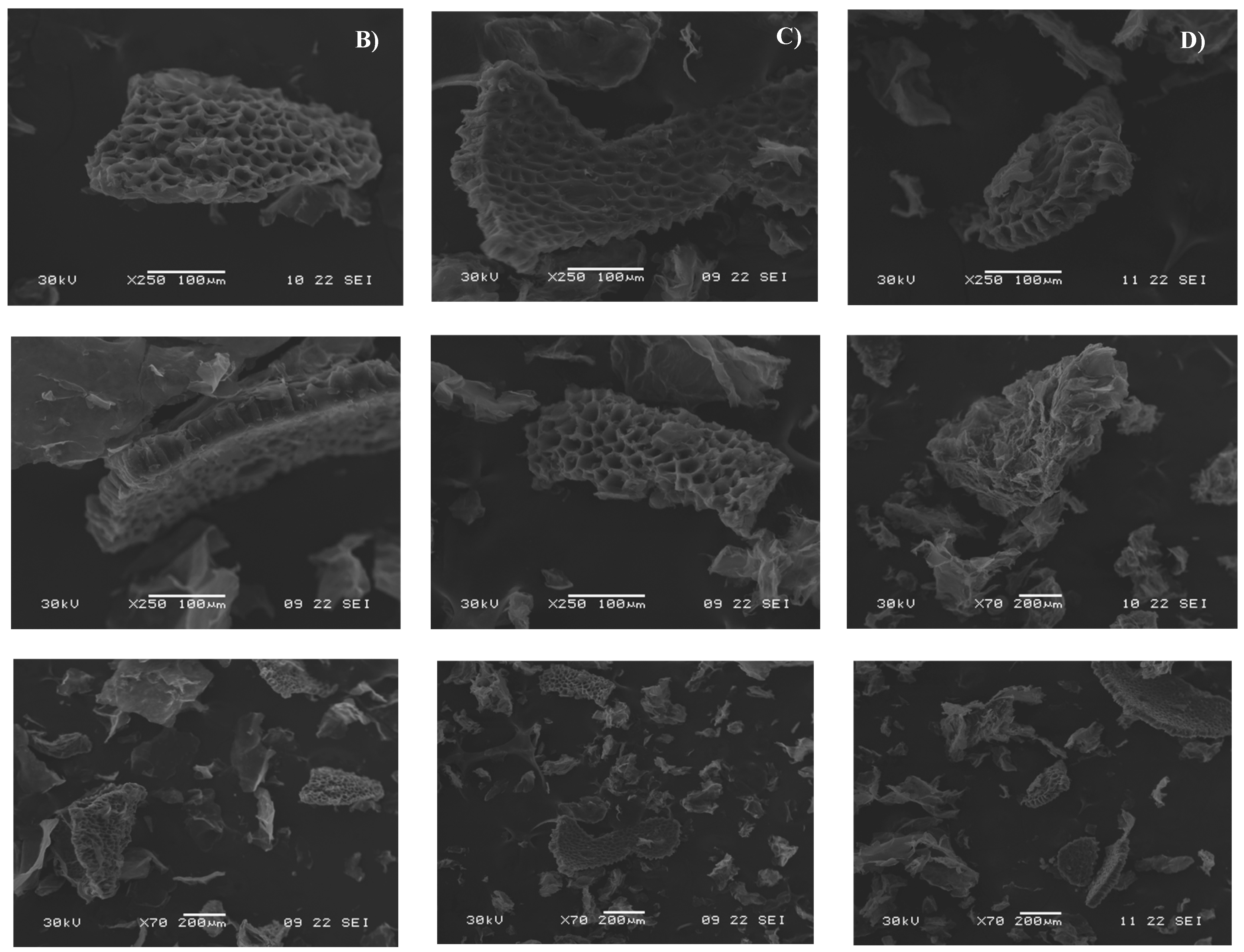 Molecules 29 03285 g005b