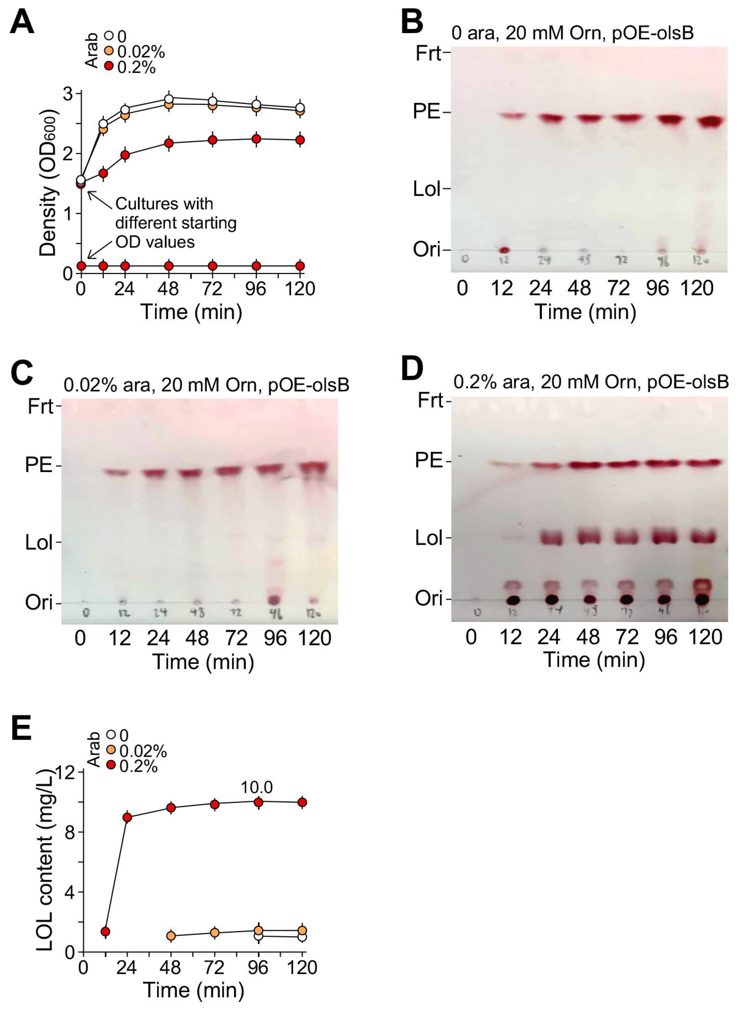 Molecules 29 03288 g005