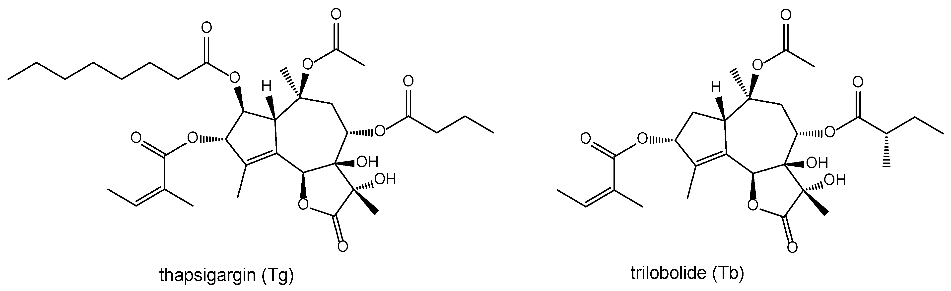 Molecules 29 03289 g001