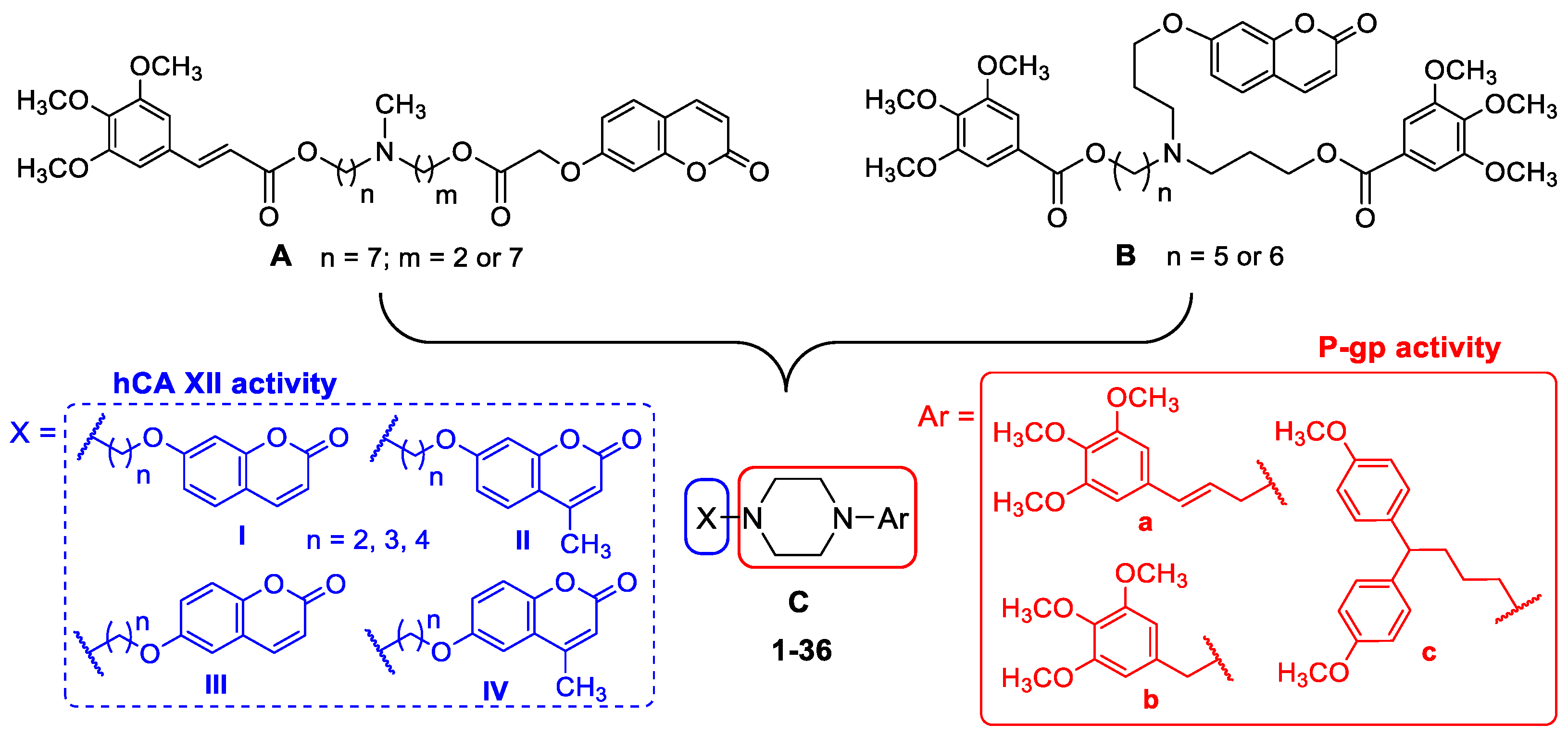 Molecules 29 03290 g001