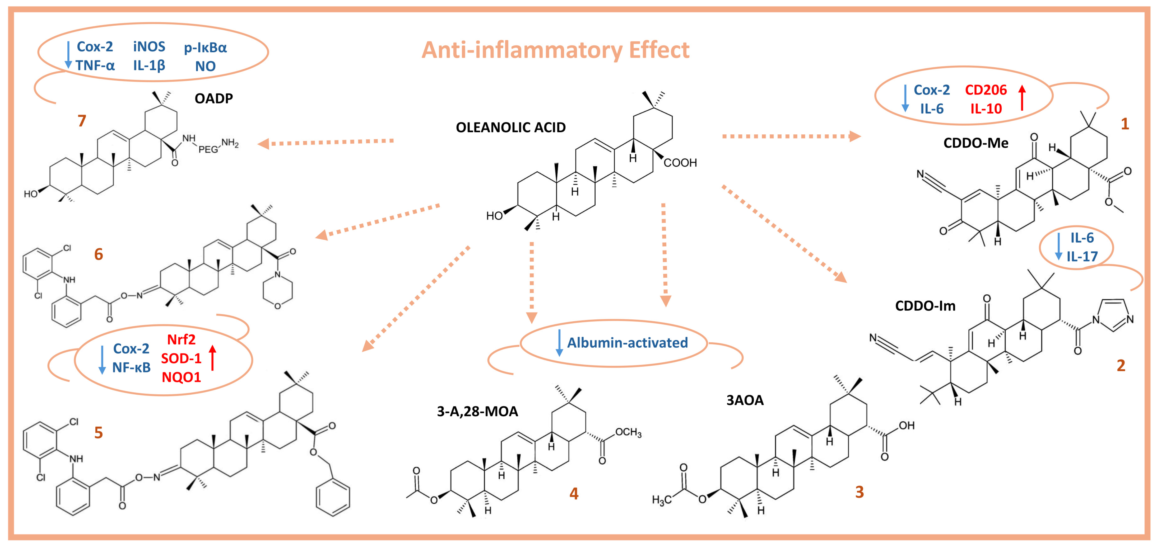 Molecules 29 03291 g002