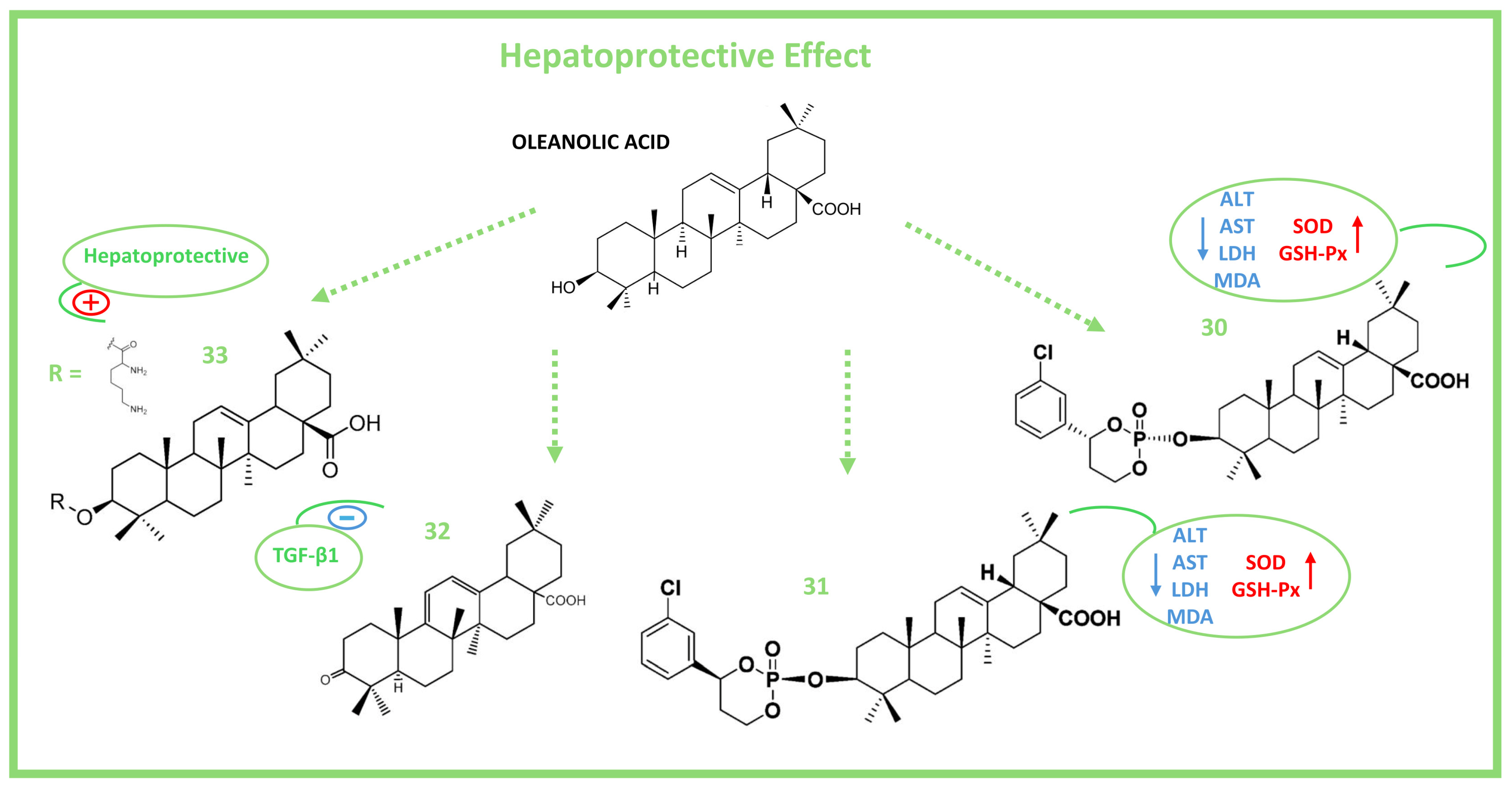 Molecules 29 03291 g006