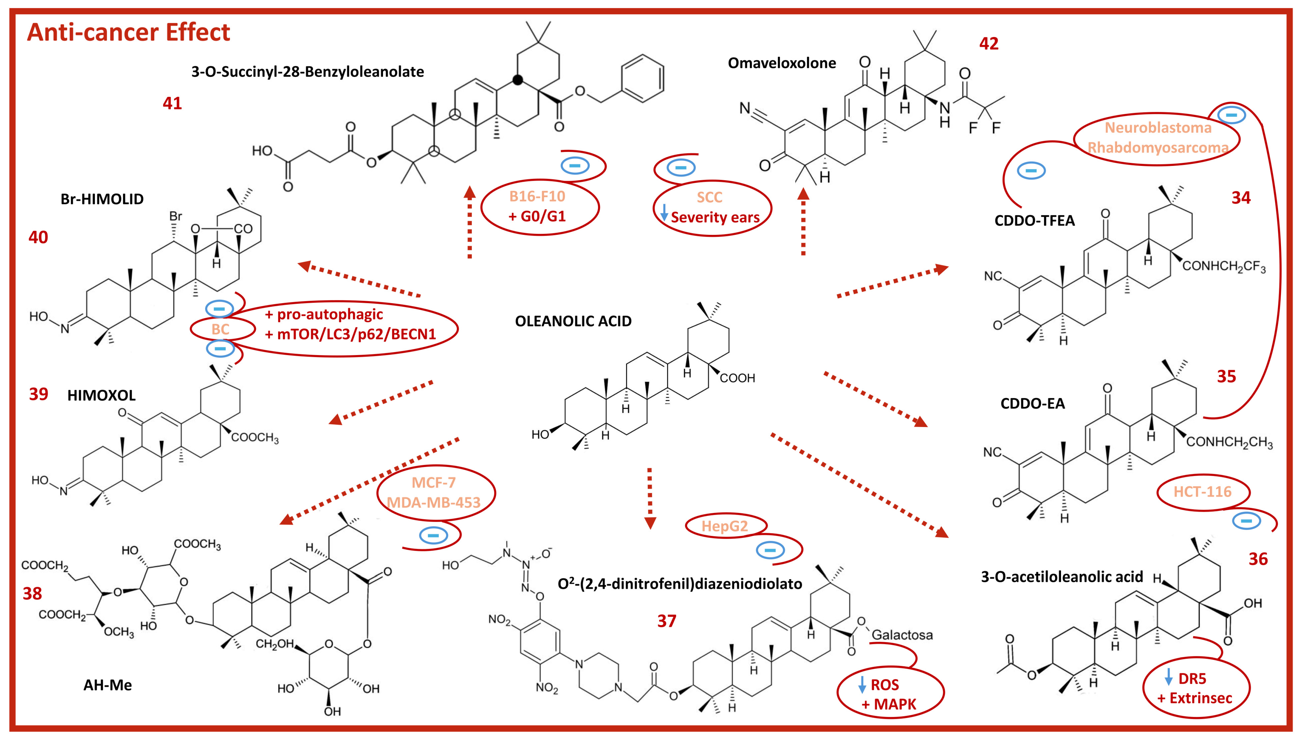 Molecules 29 03291 g007