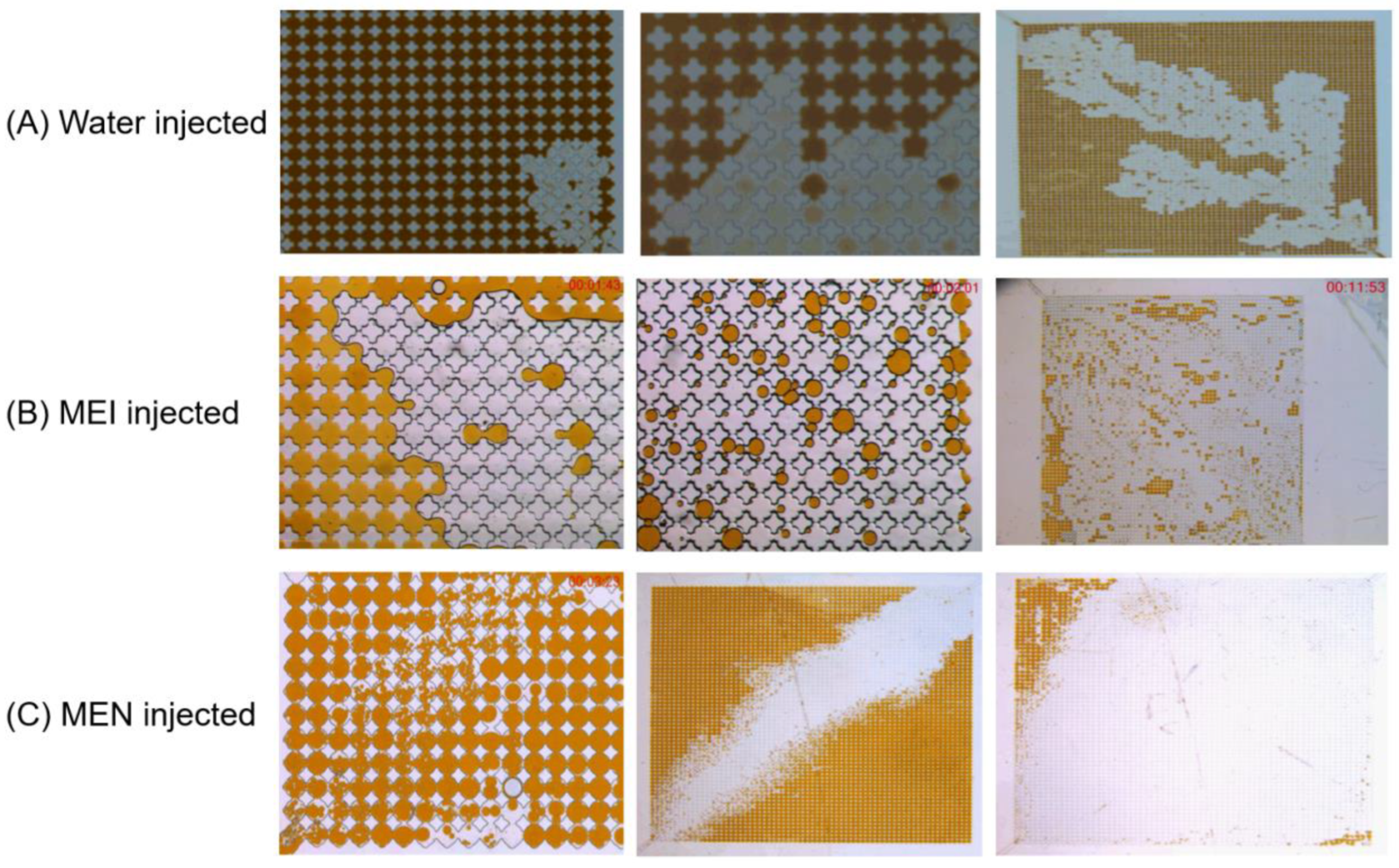 Molecules 29 03293 g011