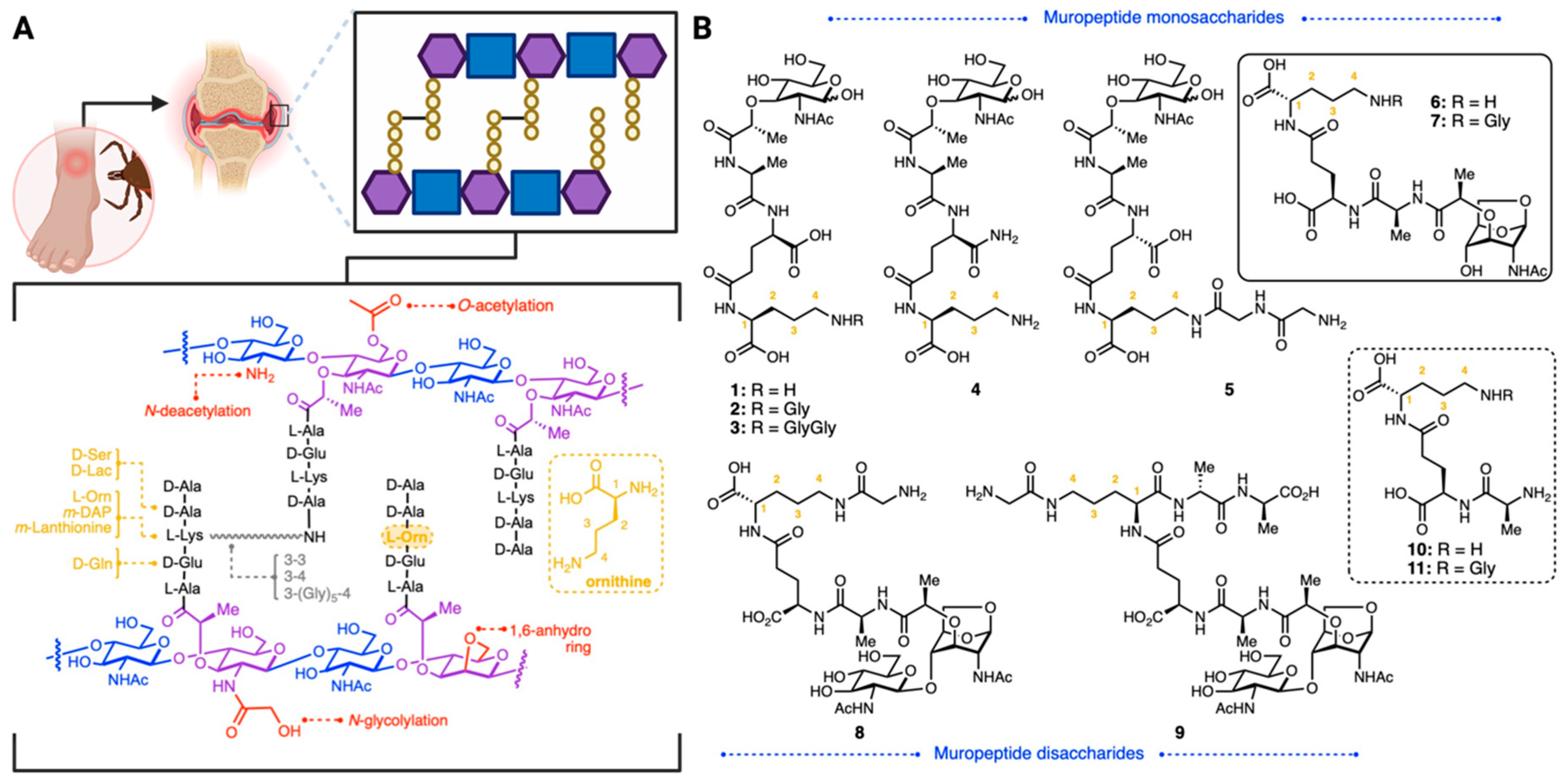 https://www.mdpi.com/molecules/molecules-29-03297/article_deploy/html/images/molecules-29-03297-g001.png