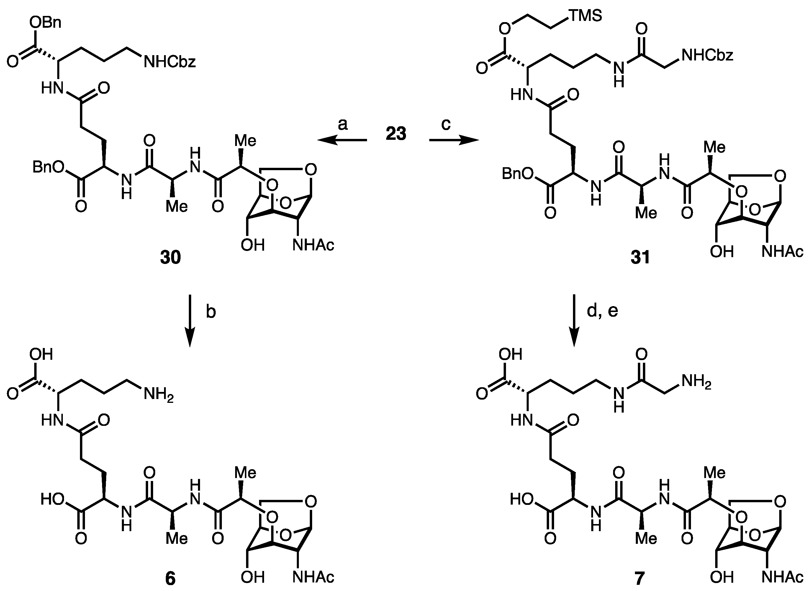 Molecules 29 03297 sch003