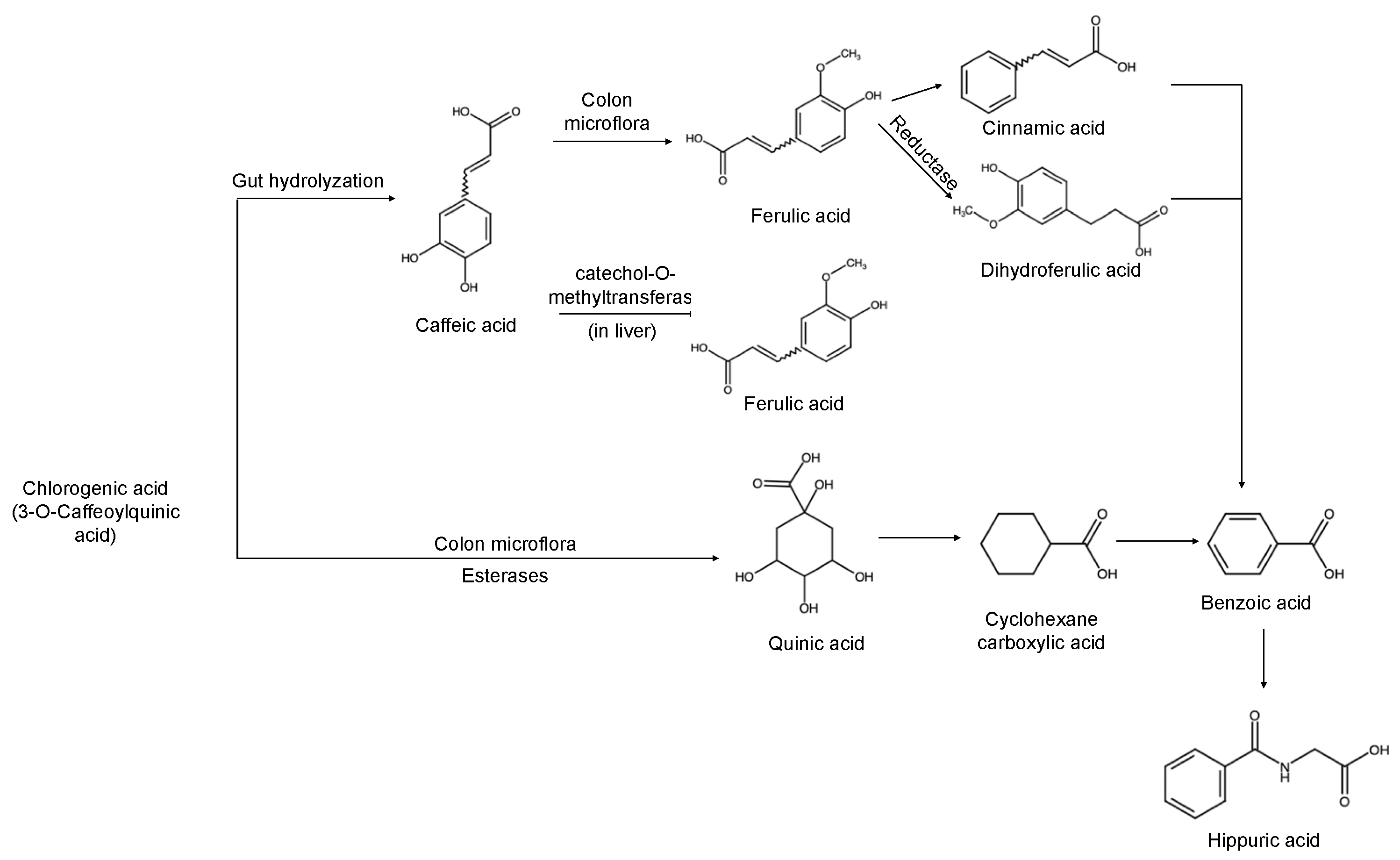 Molecules 29 03302 g002